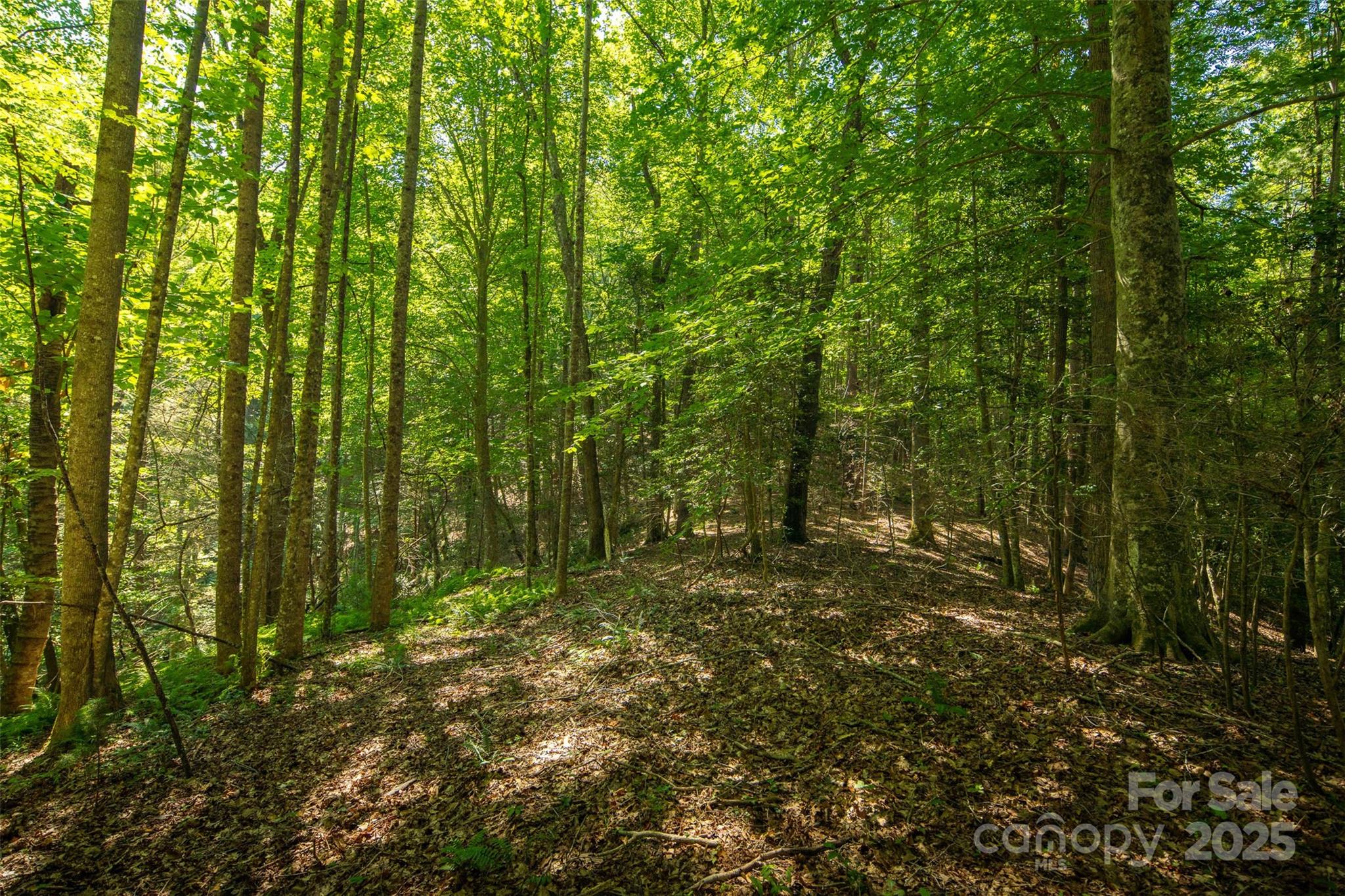 Tbd Winklers Way Road Property Photo 40