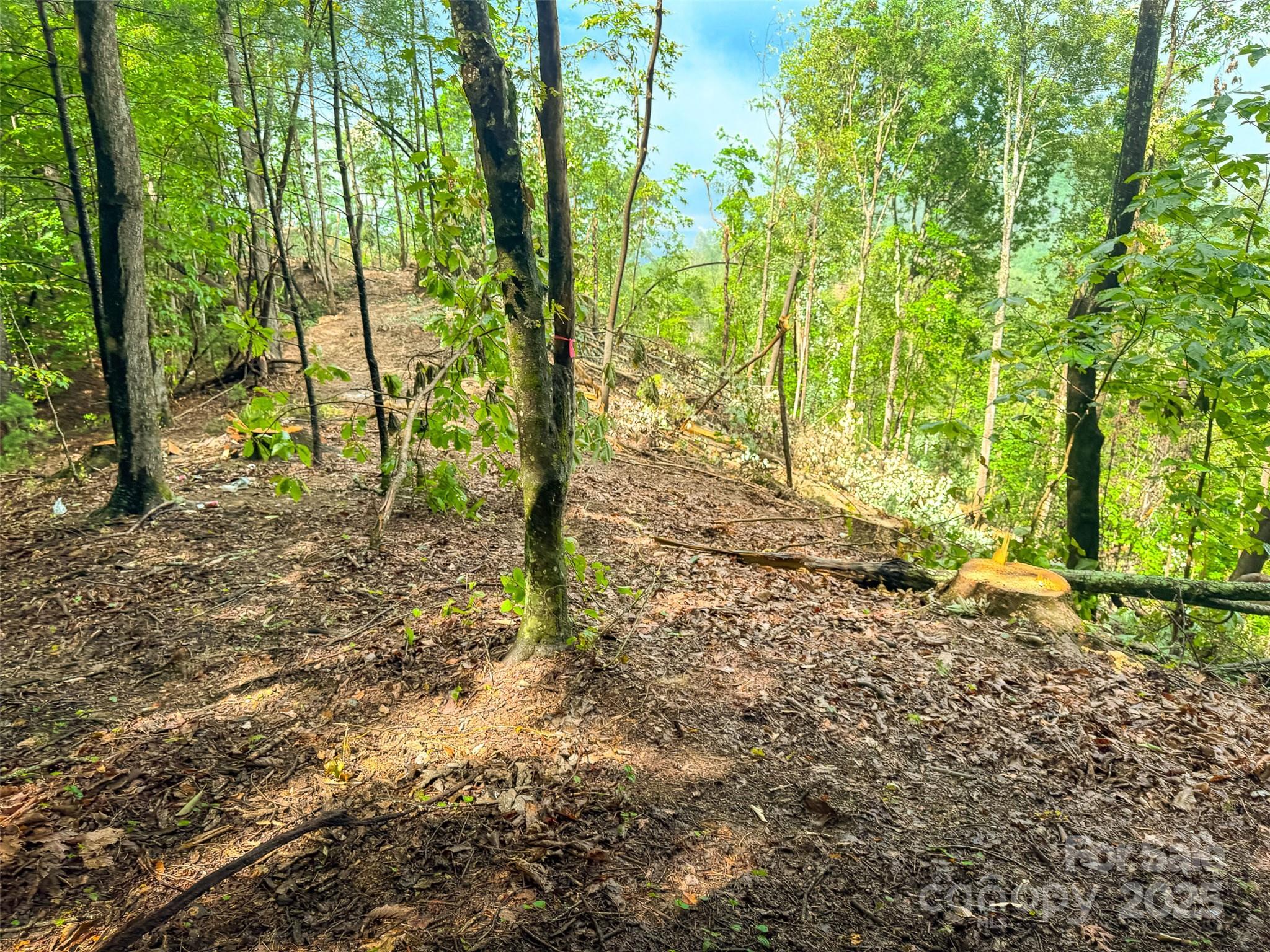 Tbd Winklers Way Road Property Photo 41