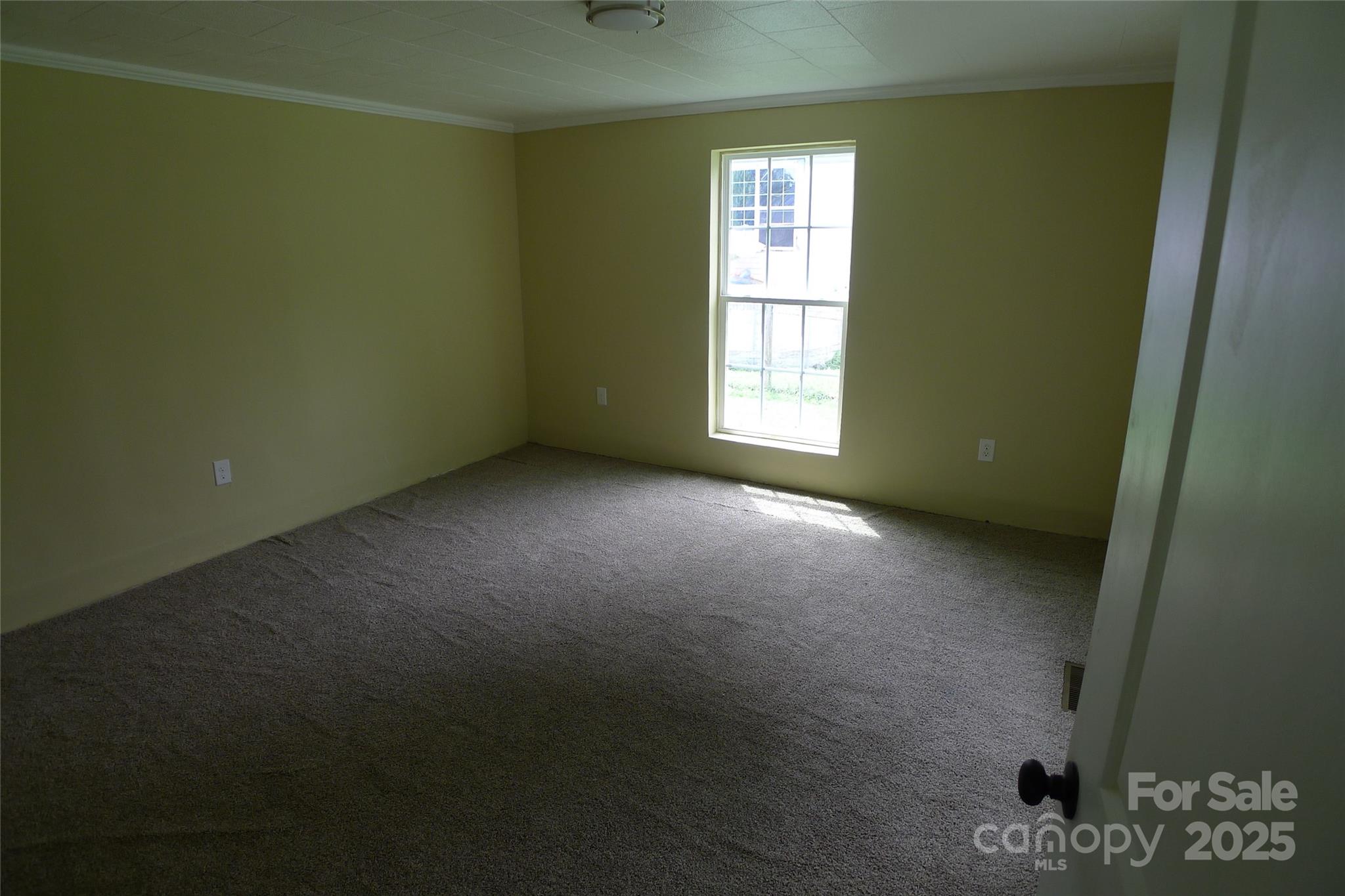 816 Olympia Street 292 Property Photo 22