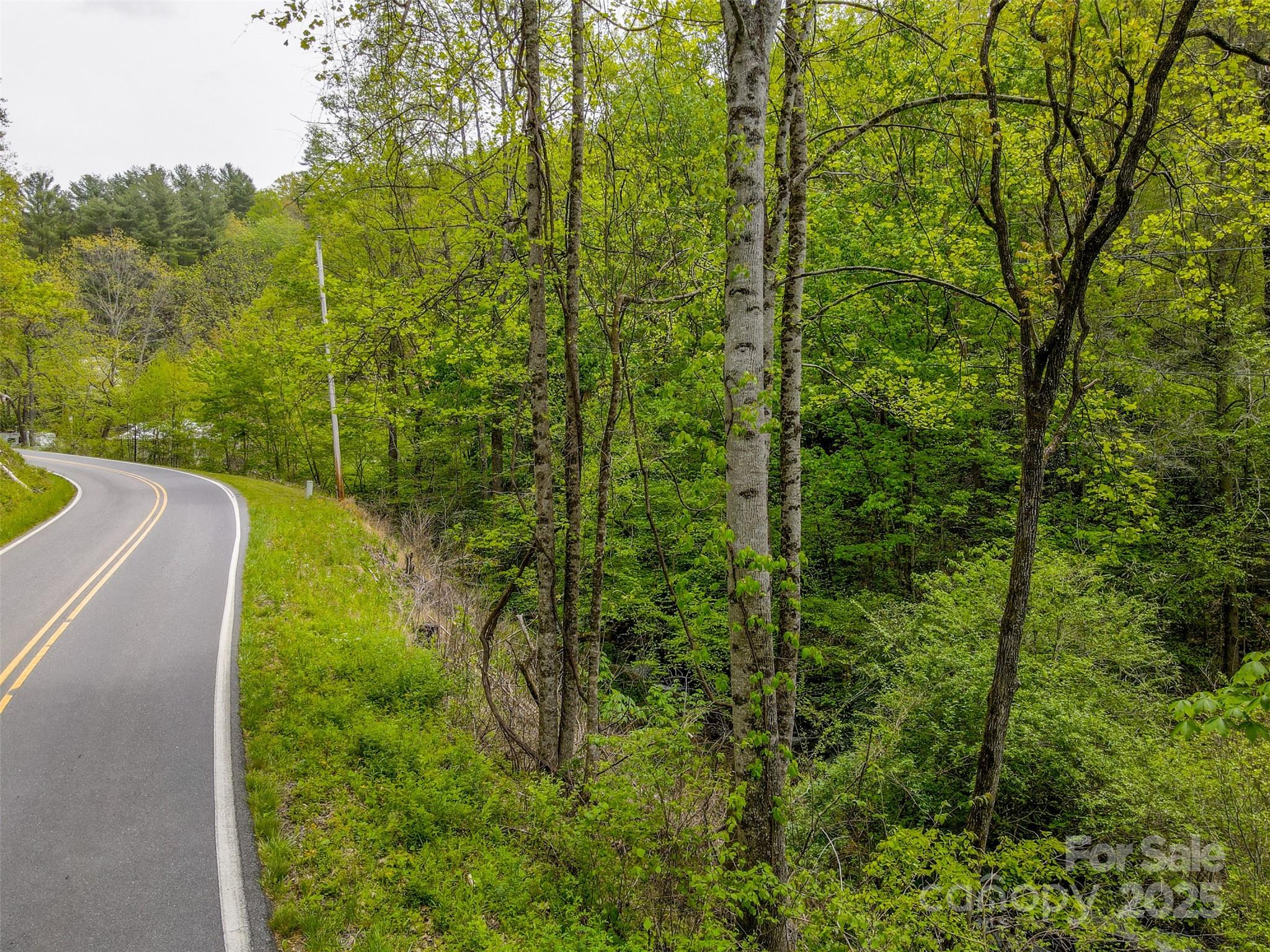 2360 Wayehutta Road Property Photo 5