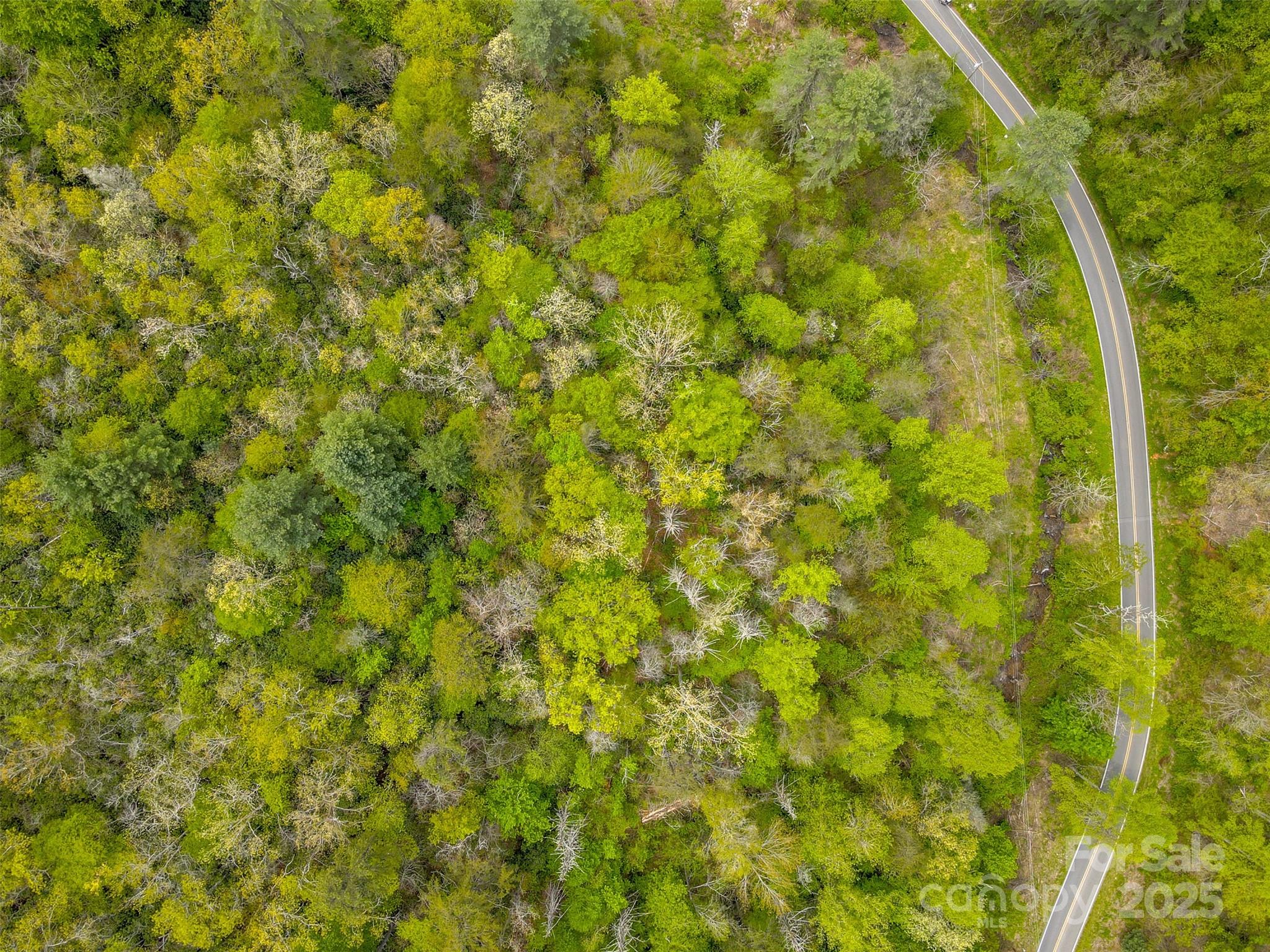 2360 Wayehutta Road Property Photo 16