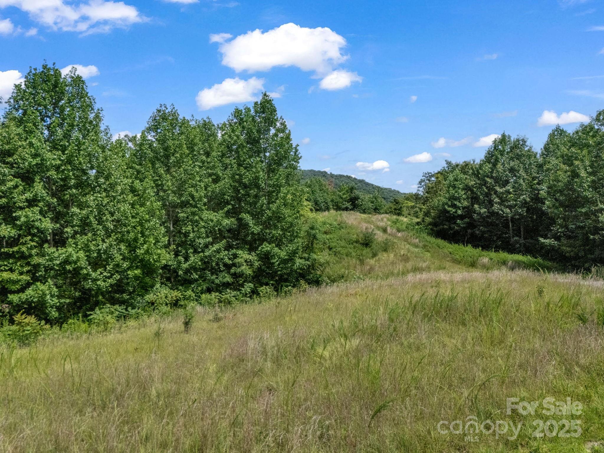 000 Climbing Road Property Photo 5