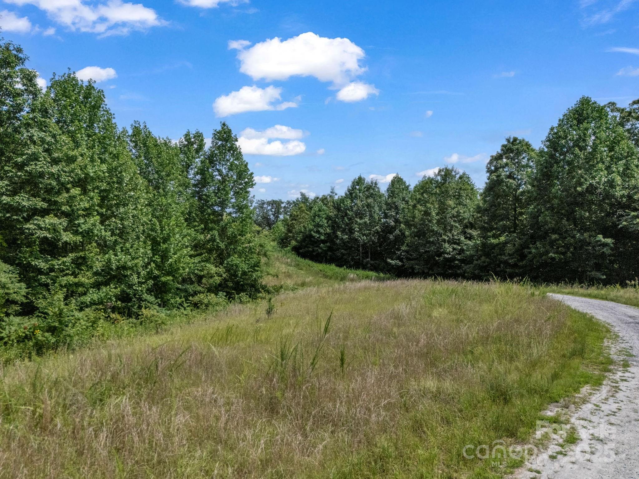 000 Climbing Road Property Photo 6