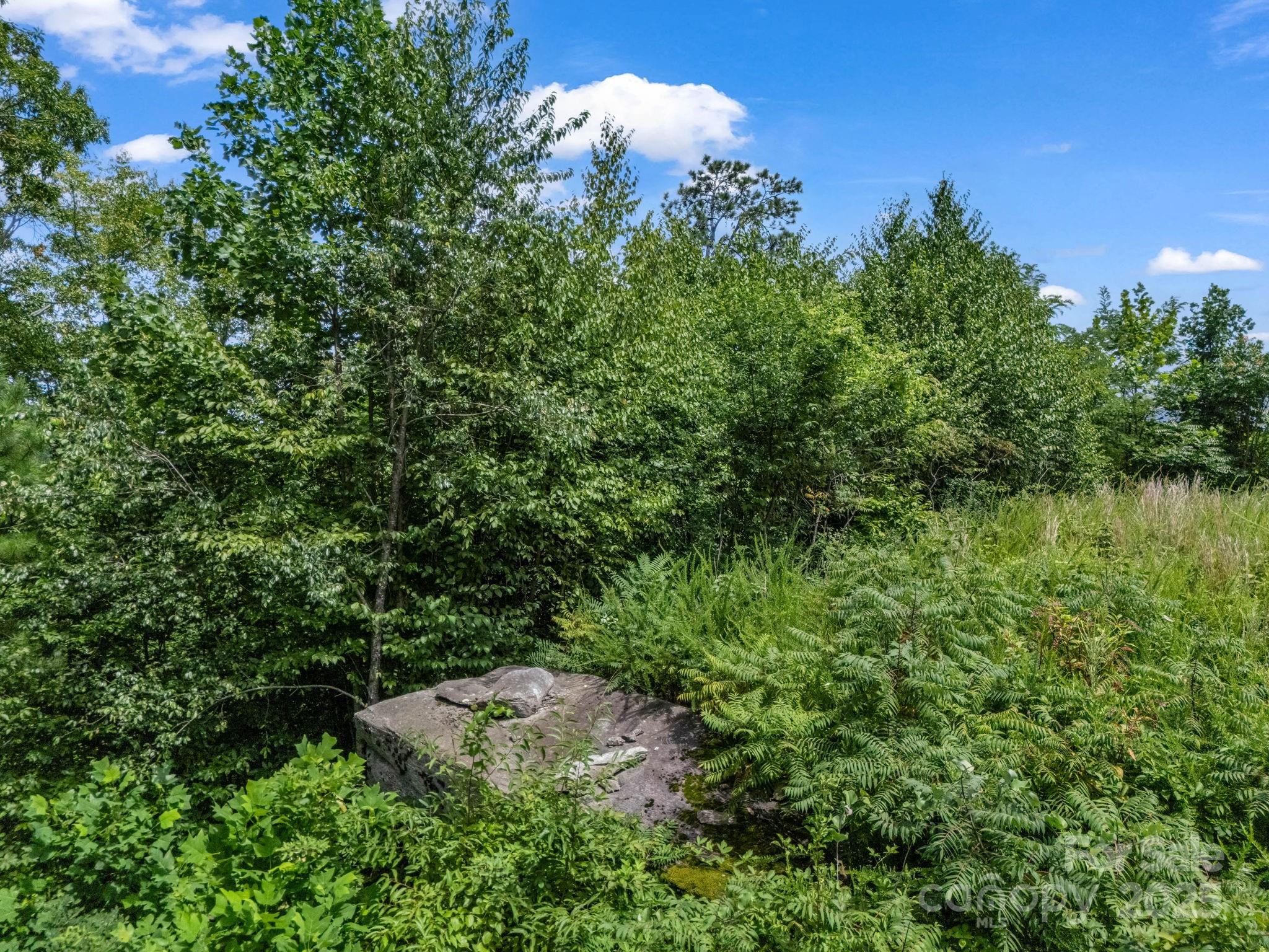 000 Climbing Road Property Photo 29