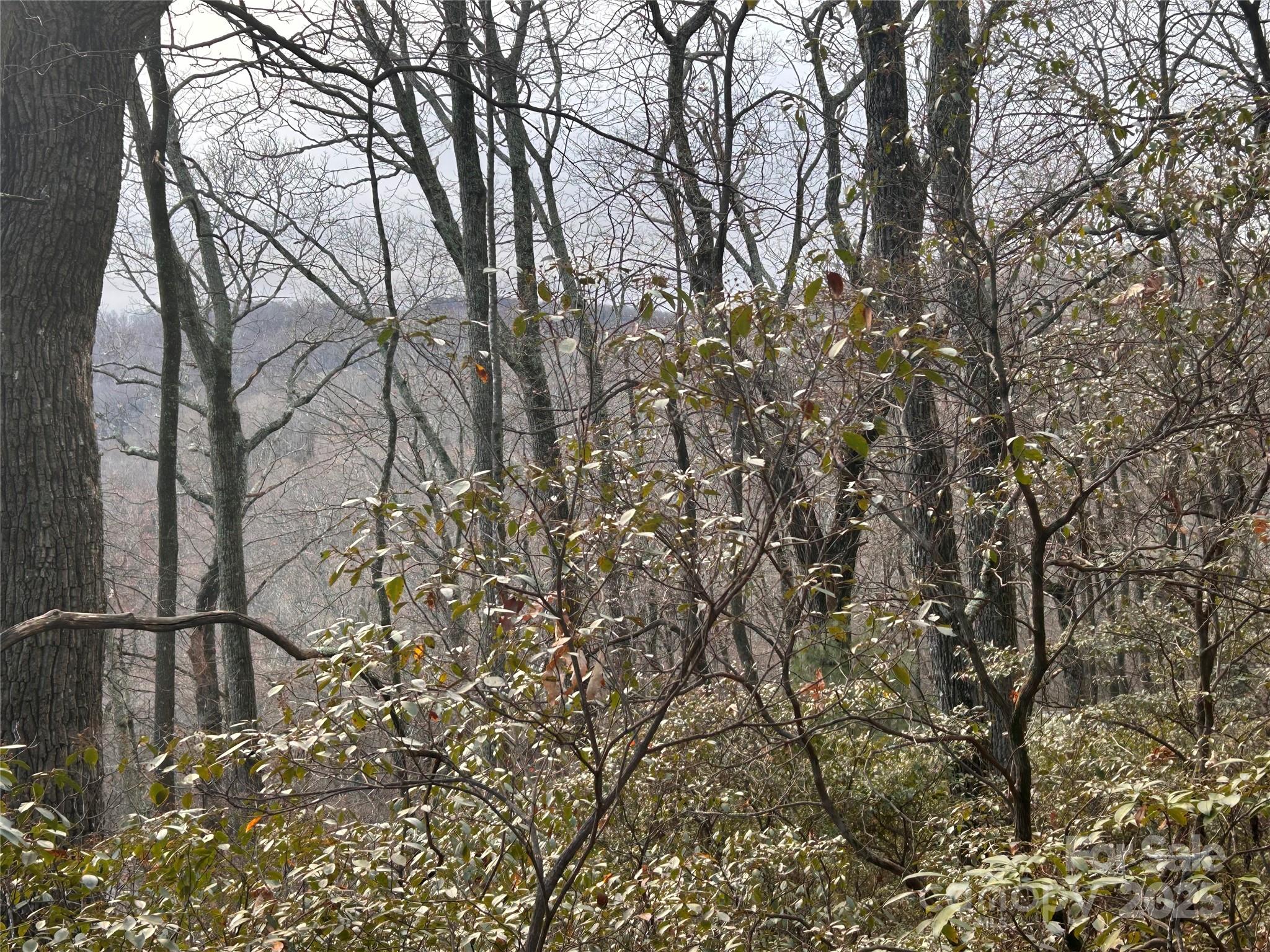 Lot 21 Pine Ridge Road 21 Property Photo 2