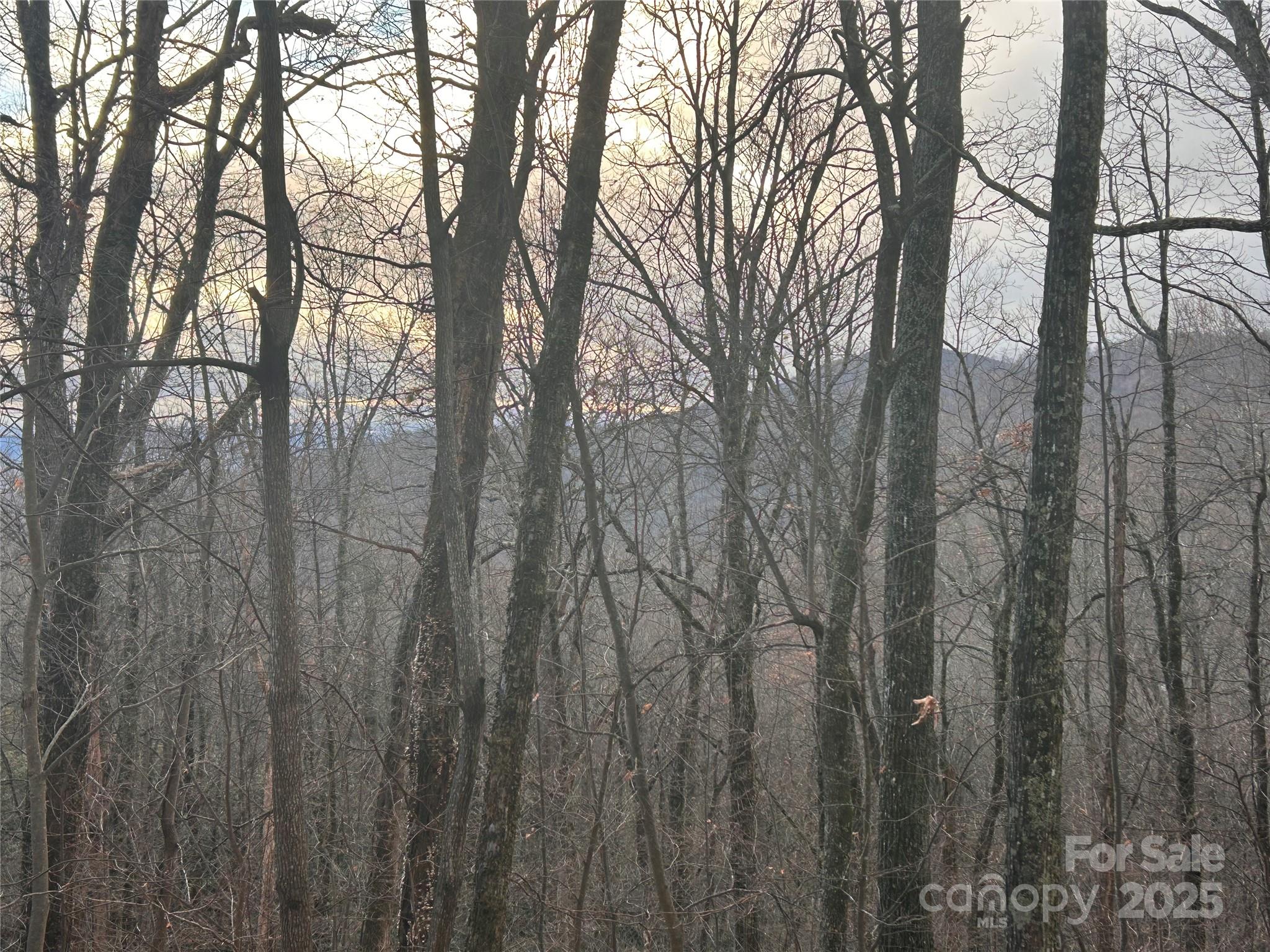 Lot 21 Pine Ridge Road 21 Property Photo 3