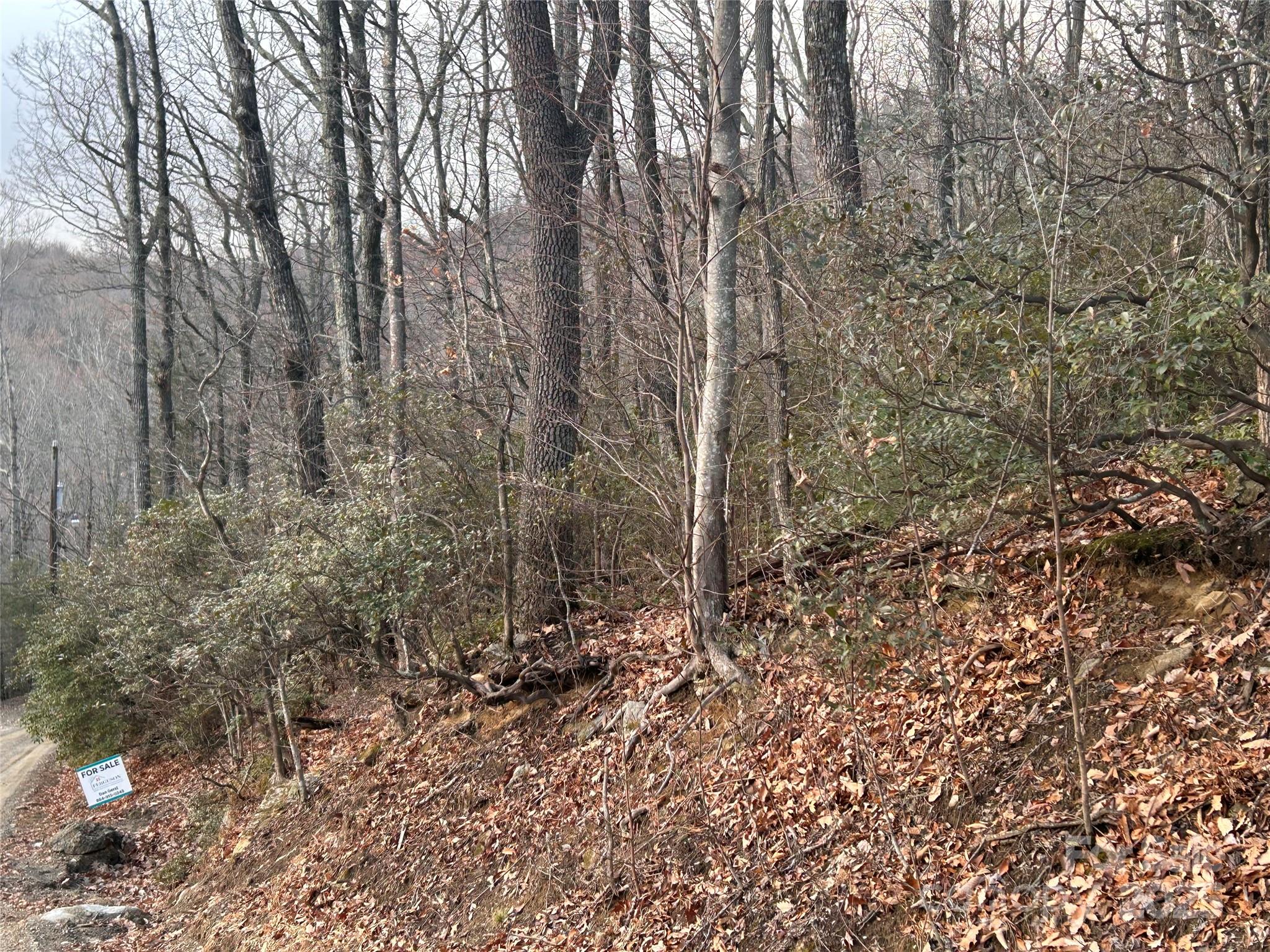 Lot 21 Pine Ridge Road 21 Property Photo 4