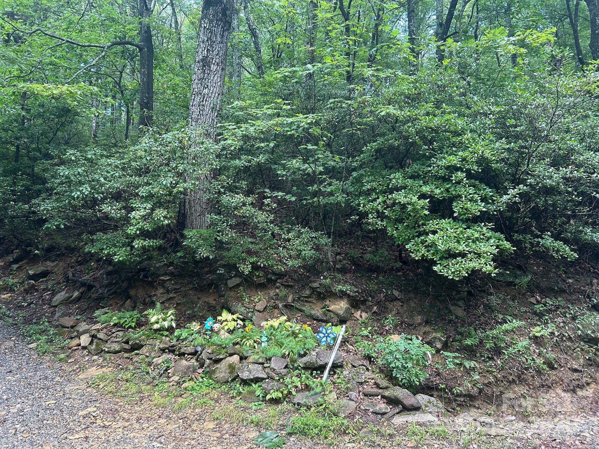 Lot 21 Pine Ridge Road 21 Property Photo 5