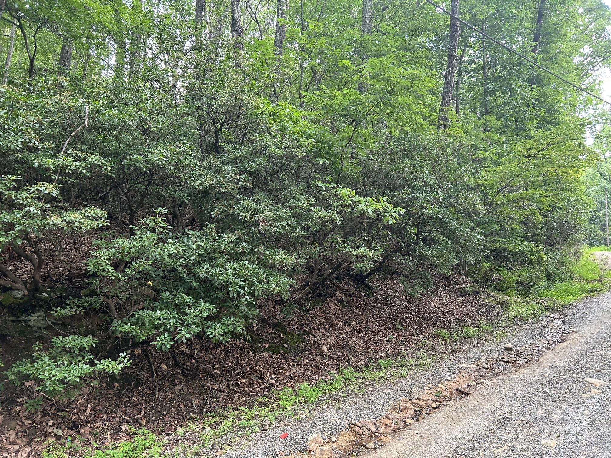 Lot 21 Pine Ridge Road 21 Property Photo 6