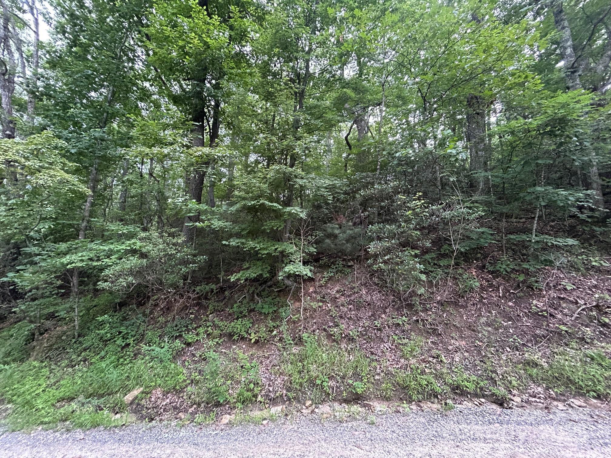 Lot 21 Pine Ridge Road 21 Property Photo 10