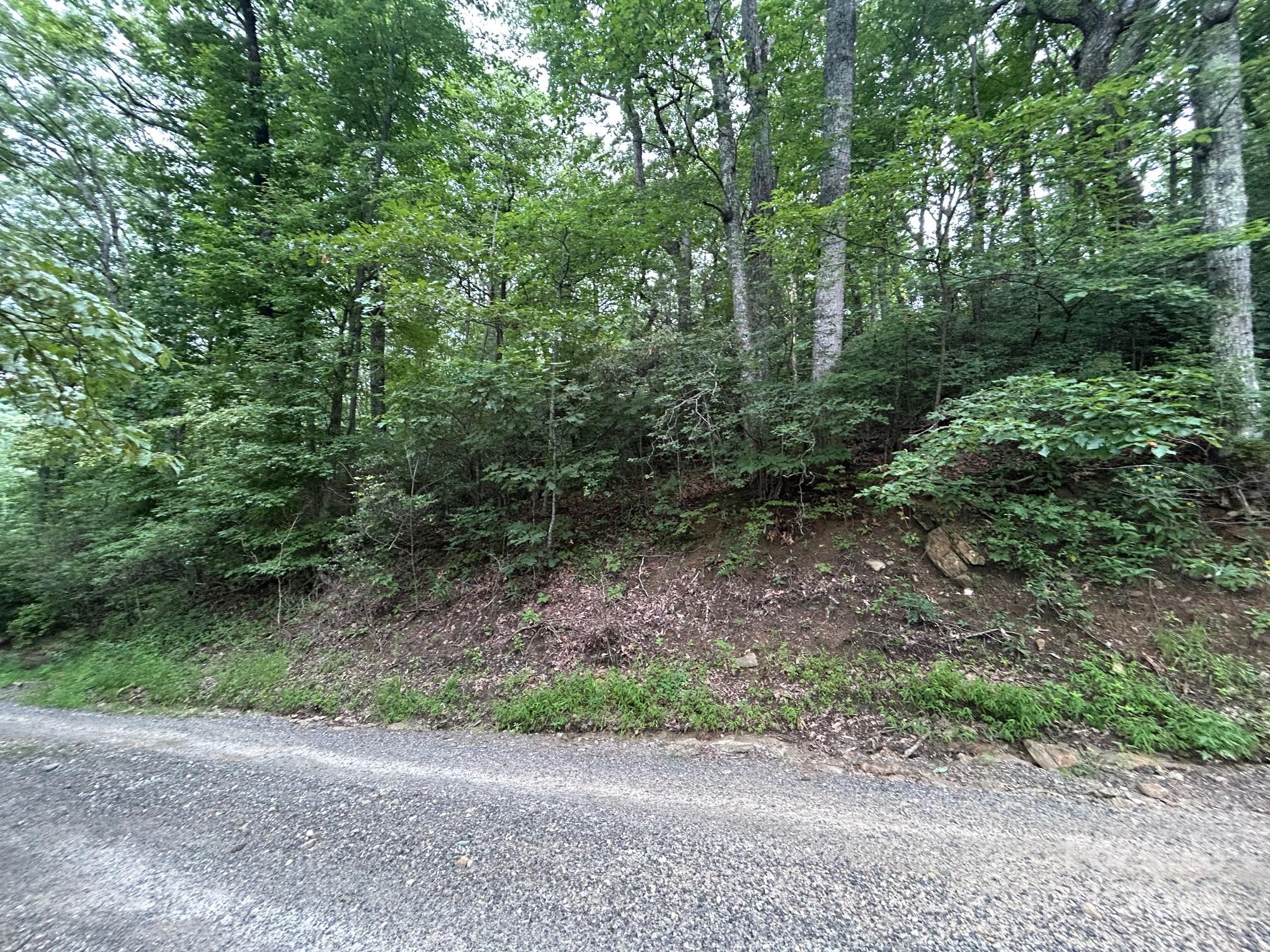 Lot 21 Pine Ridge Road 21 Property Photo 11