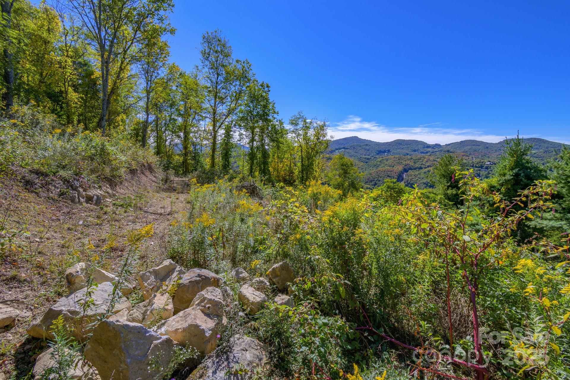 Lot 26 Silver Fox Lane Property Photo 1