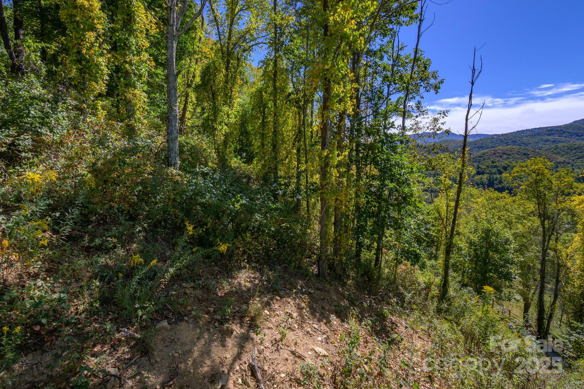 Lot 27 Silver Fox Lane Property Photo 1