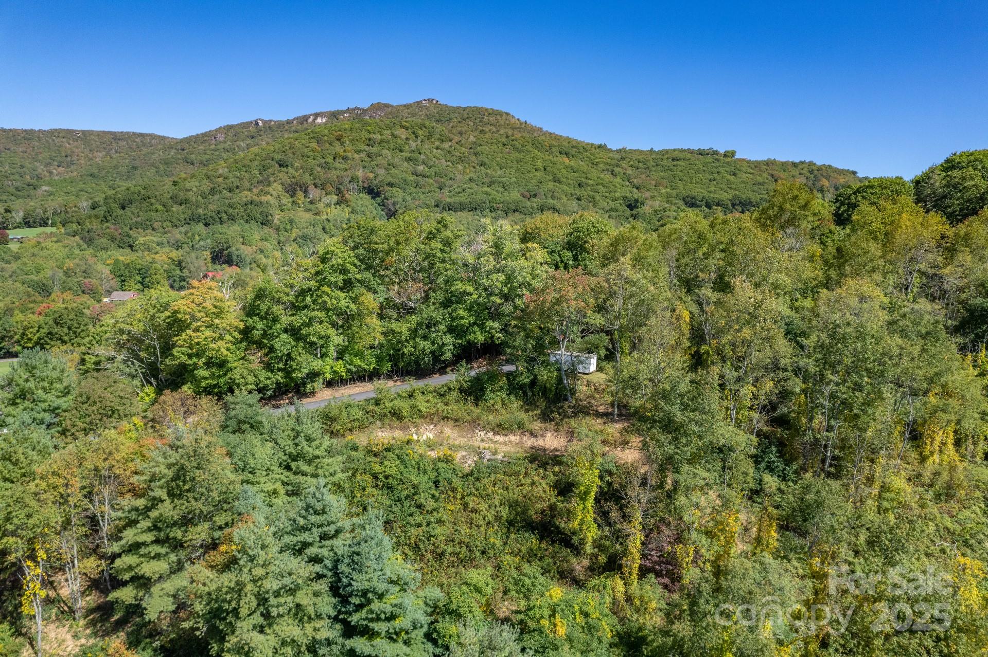 Lot 27 Silver Fox Lane Property Photo 2