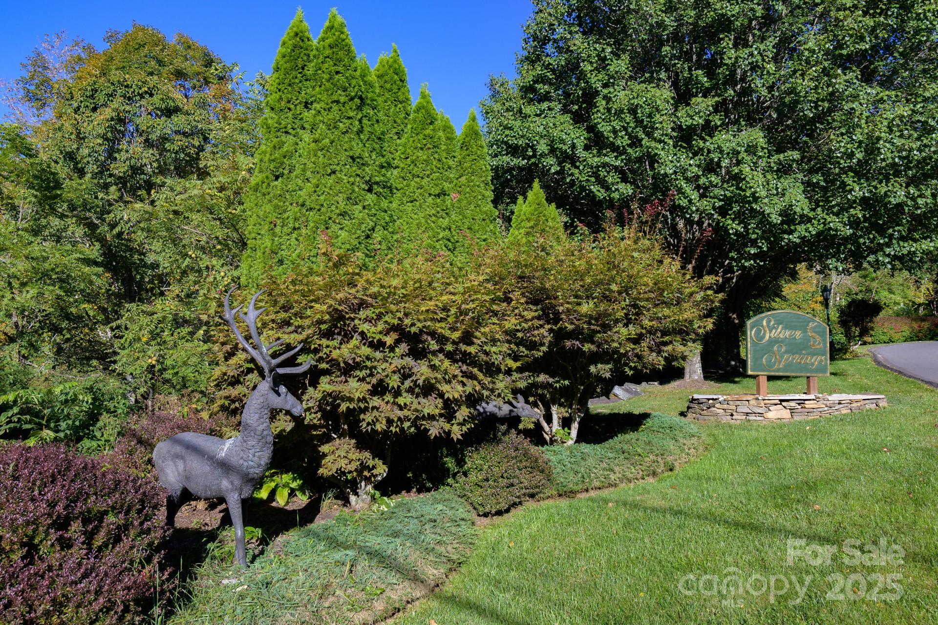 Lot 27 Silver Fox Lane Property Photo 5