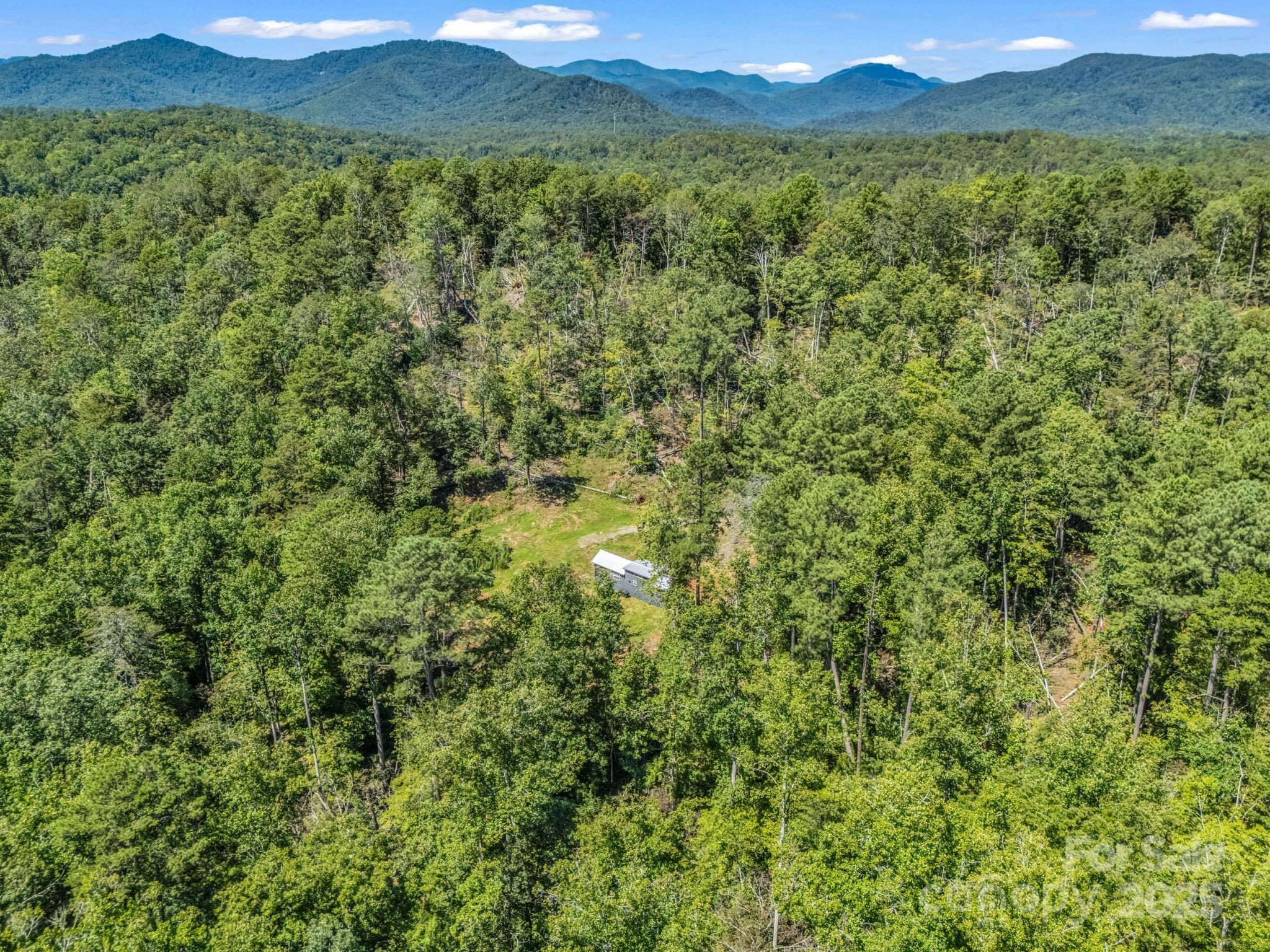 231 Wandering Bear Way Property Photo 11