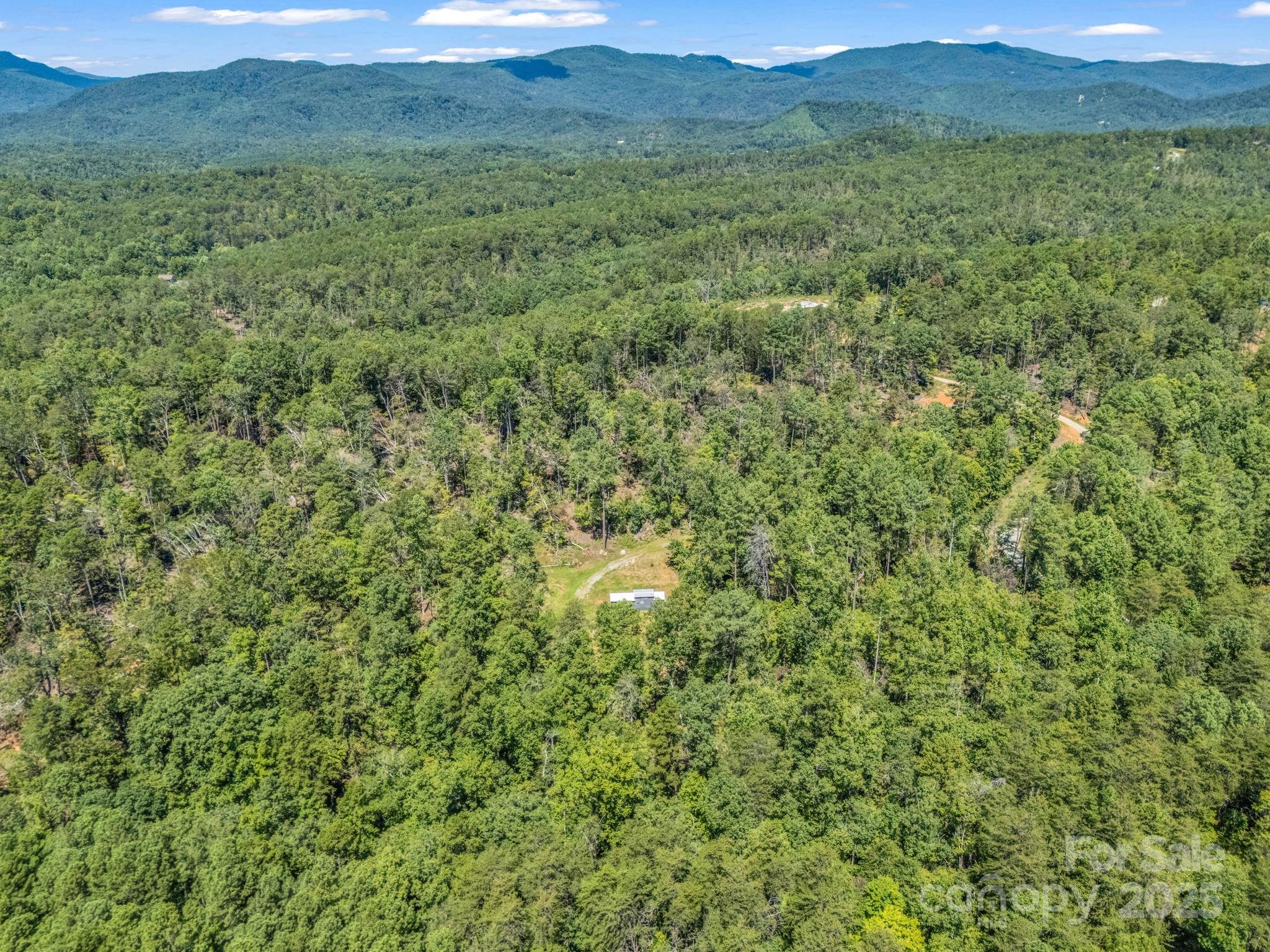 231 Wandering Bear Way Property Photo 12