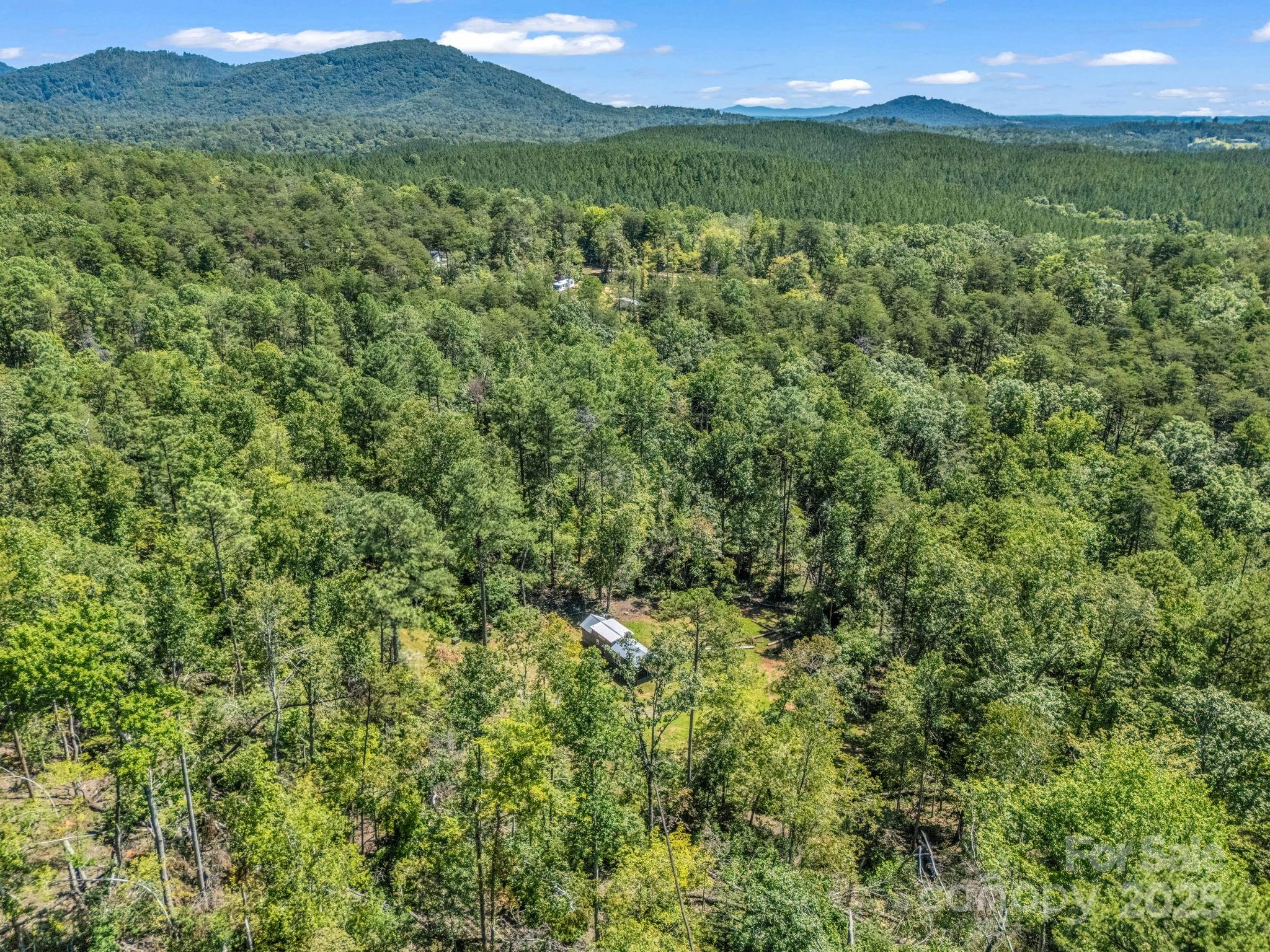 231 Wandering Bear Way Property Photo 14