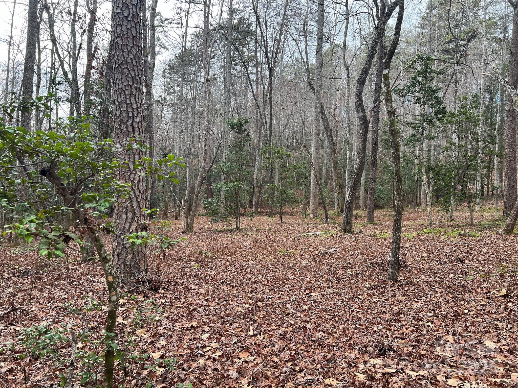 231 Wandering Bear Way Property Photo 34