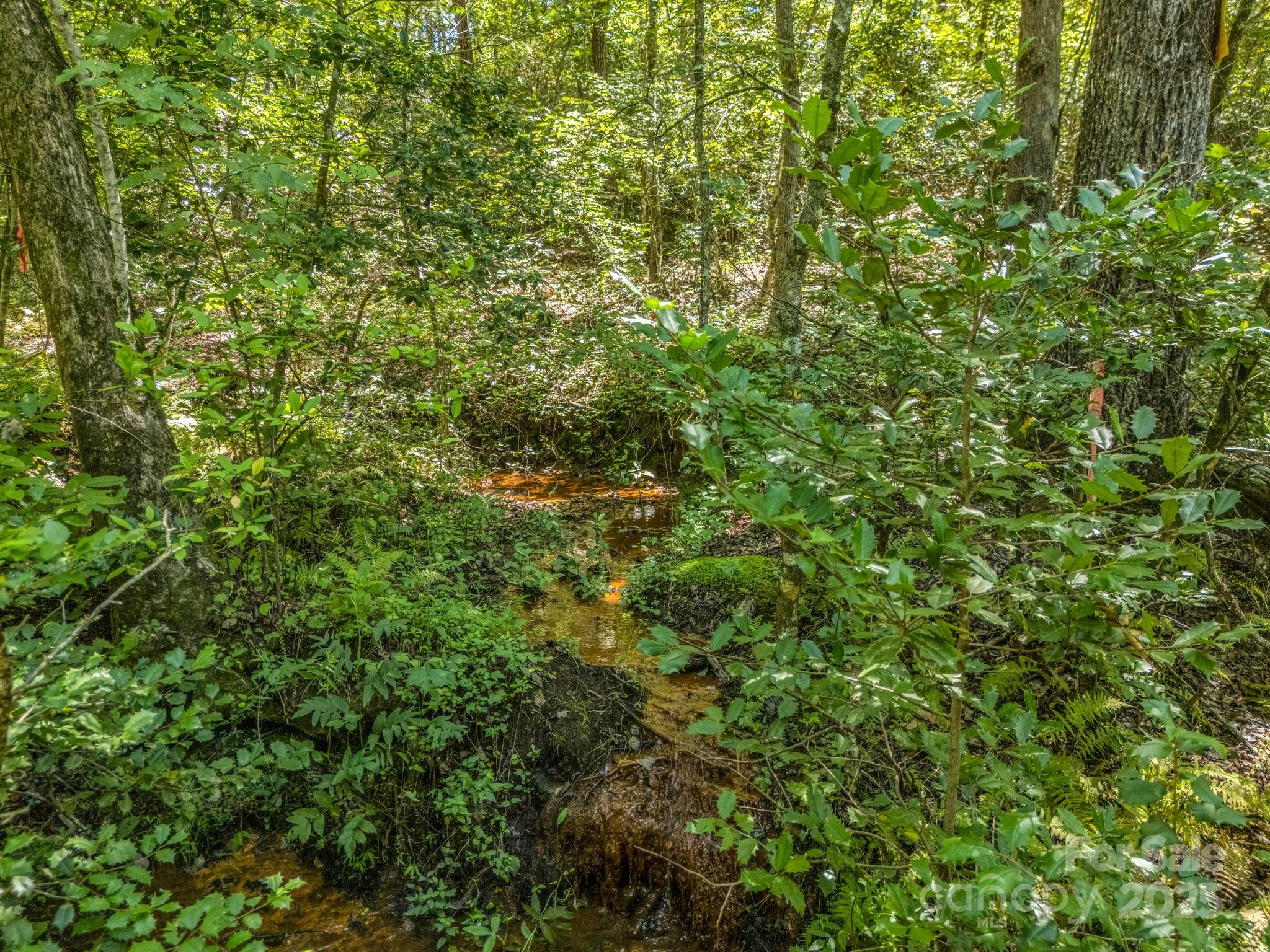 231 Wandering Bear Way Property Photo 36