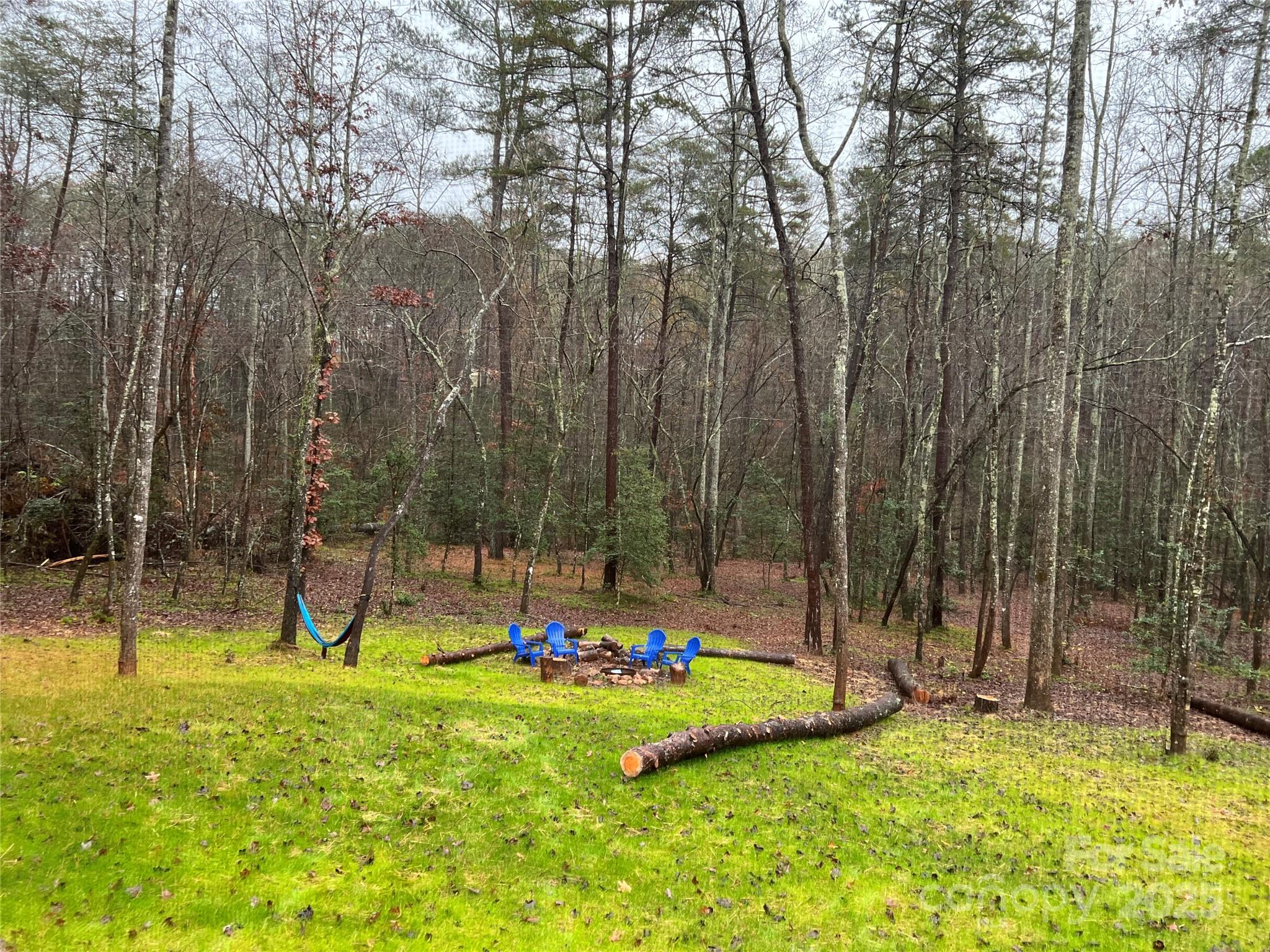 231 Wandering Bear Way Property Photo 37