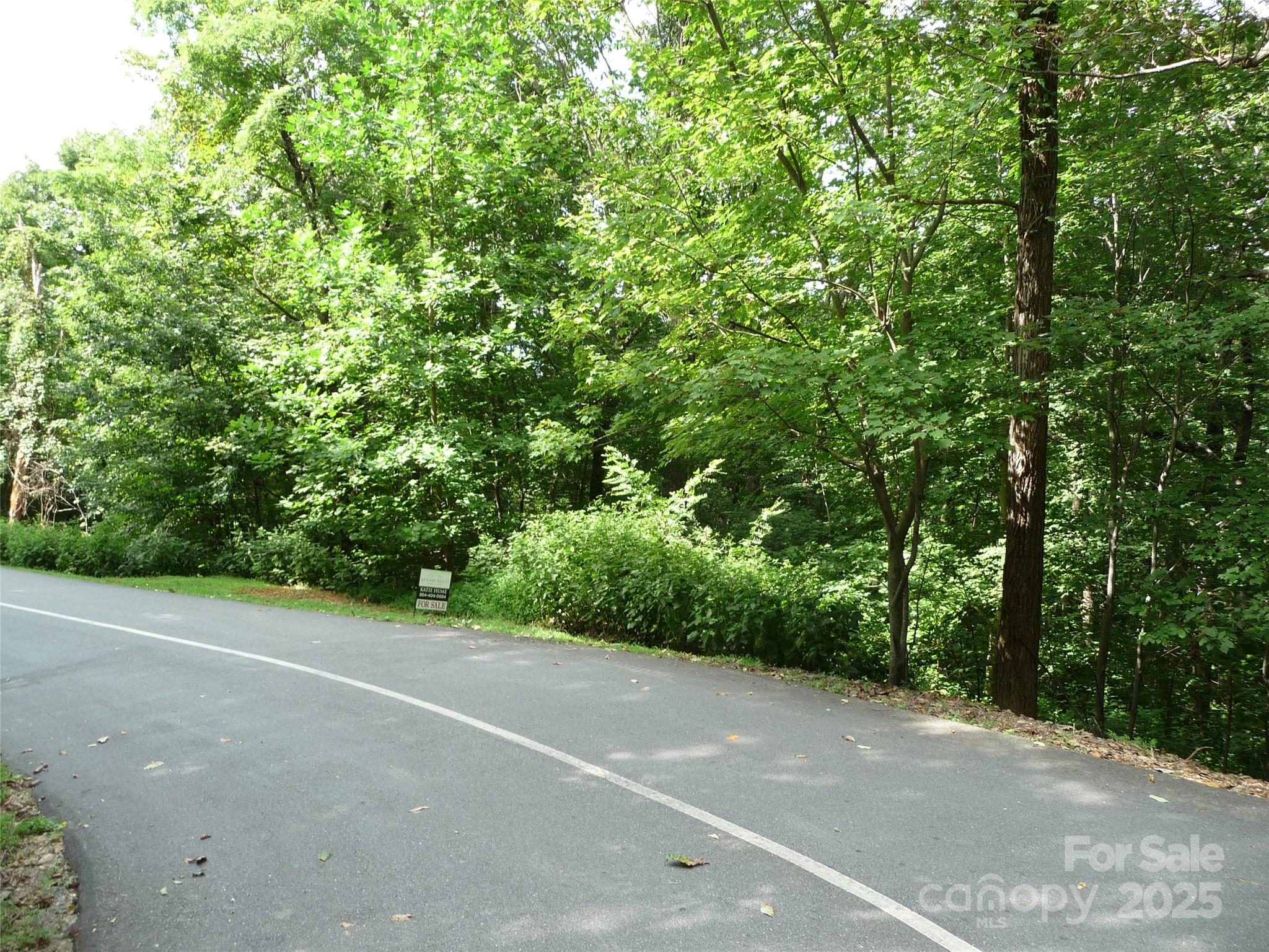 Lot 35 Morning Ride Drive Lot 35 Property Photo 2