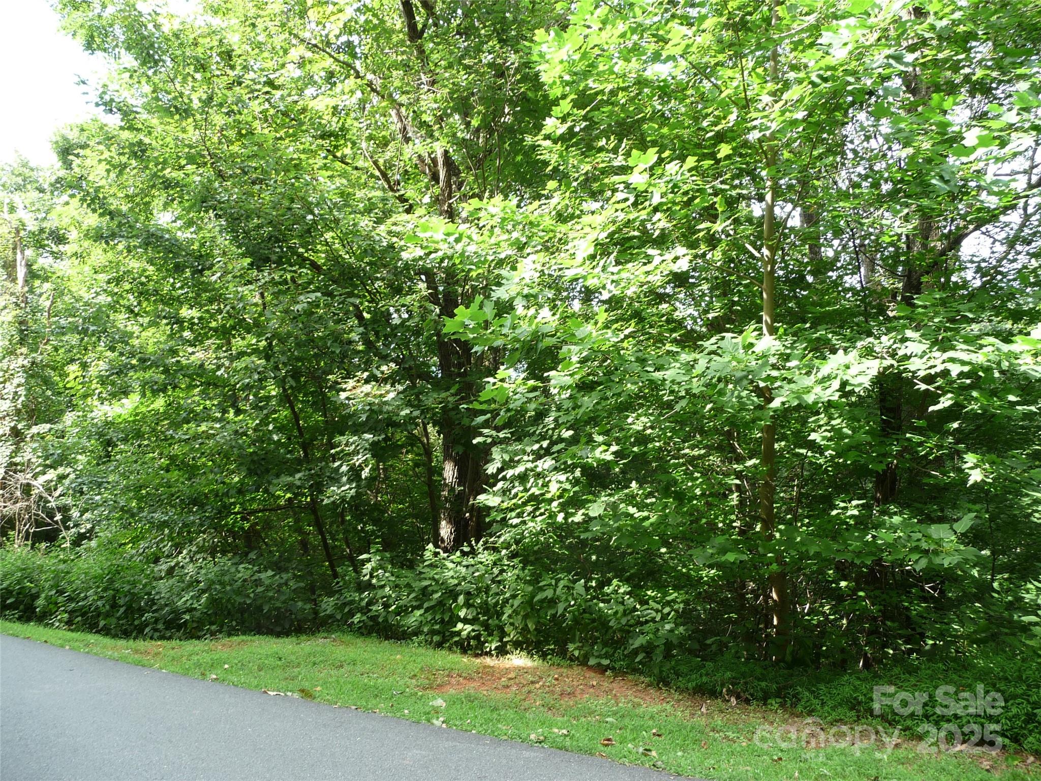 Lot 35 Morning Ride Drive Lot 35 Property Photo 3