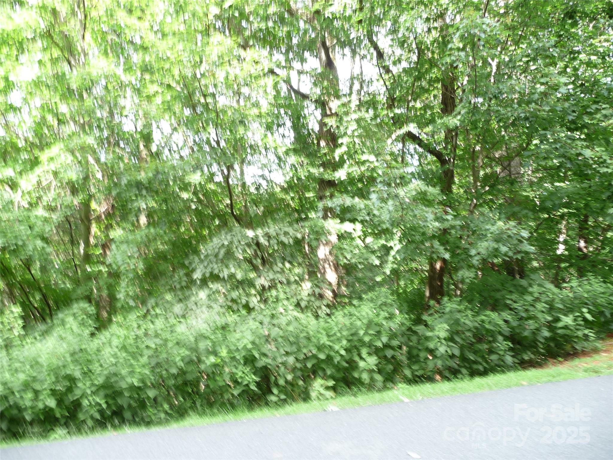 Lot 35 Morning Ride Drive Lot 35 Property Photo 5