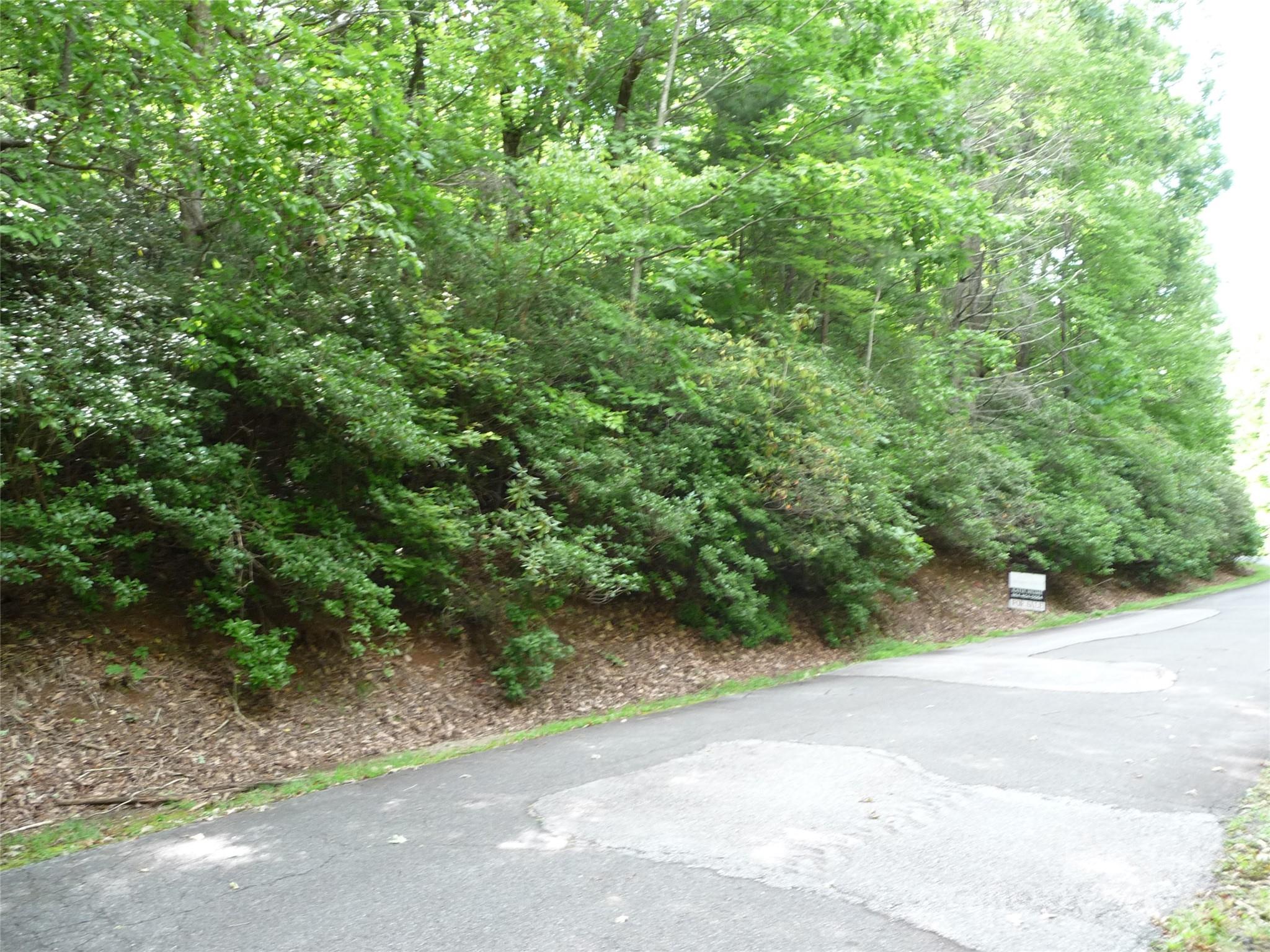 Lot 70 Serpentine Drive Lot 70 Property Photo 2