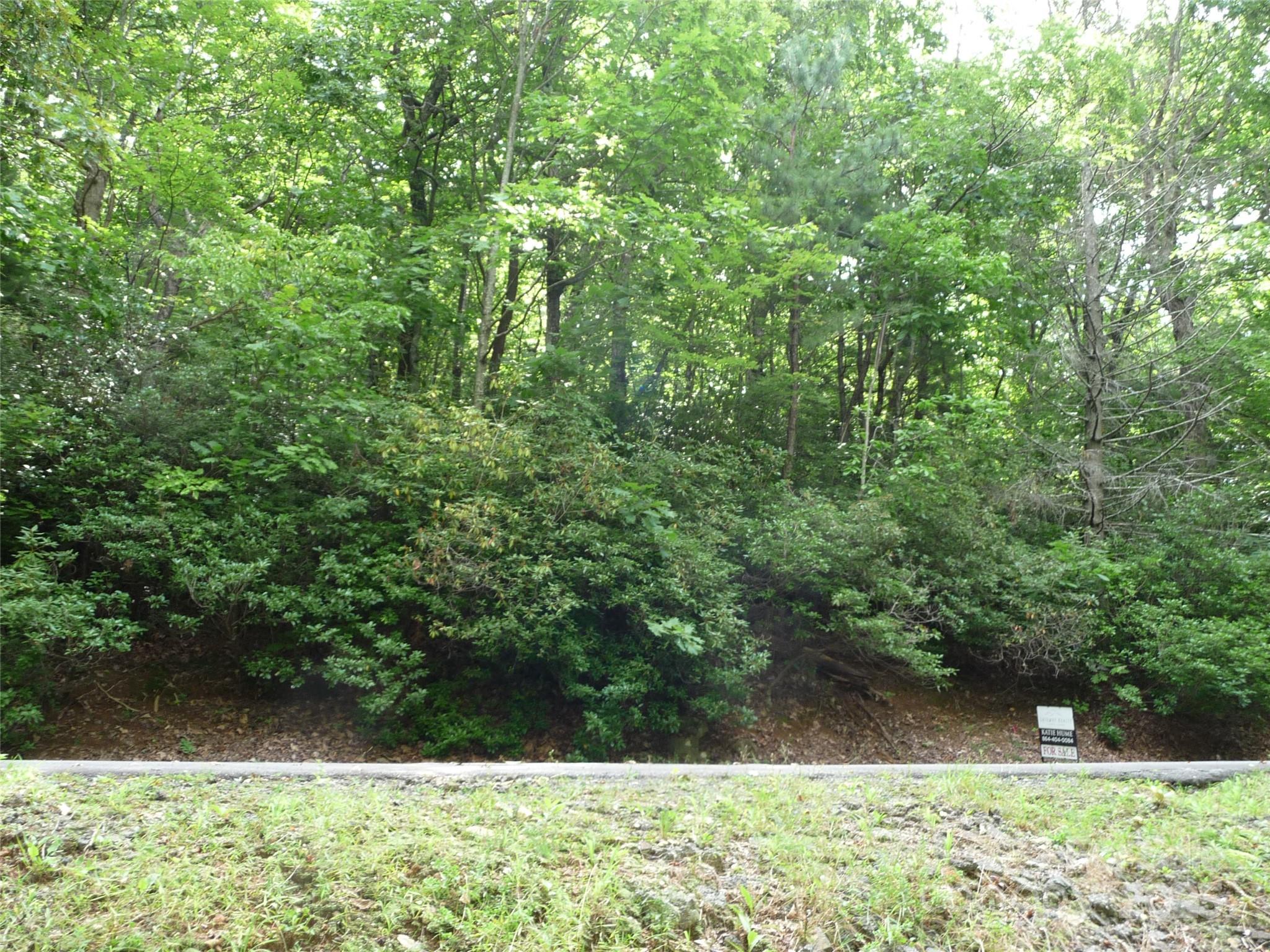 Lot 70 Serpentine Drive Lot 70 Property Photo 3