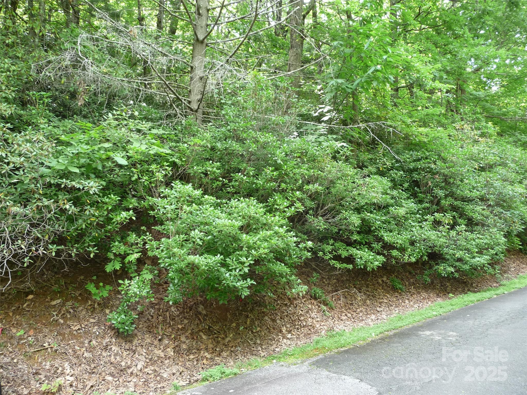 Lot 70 Serpentine Drive Lot 70 Property Photo 5