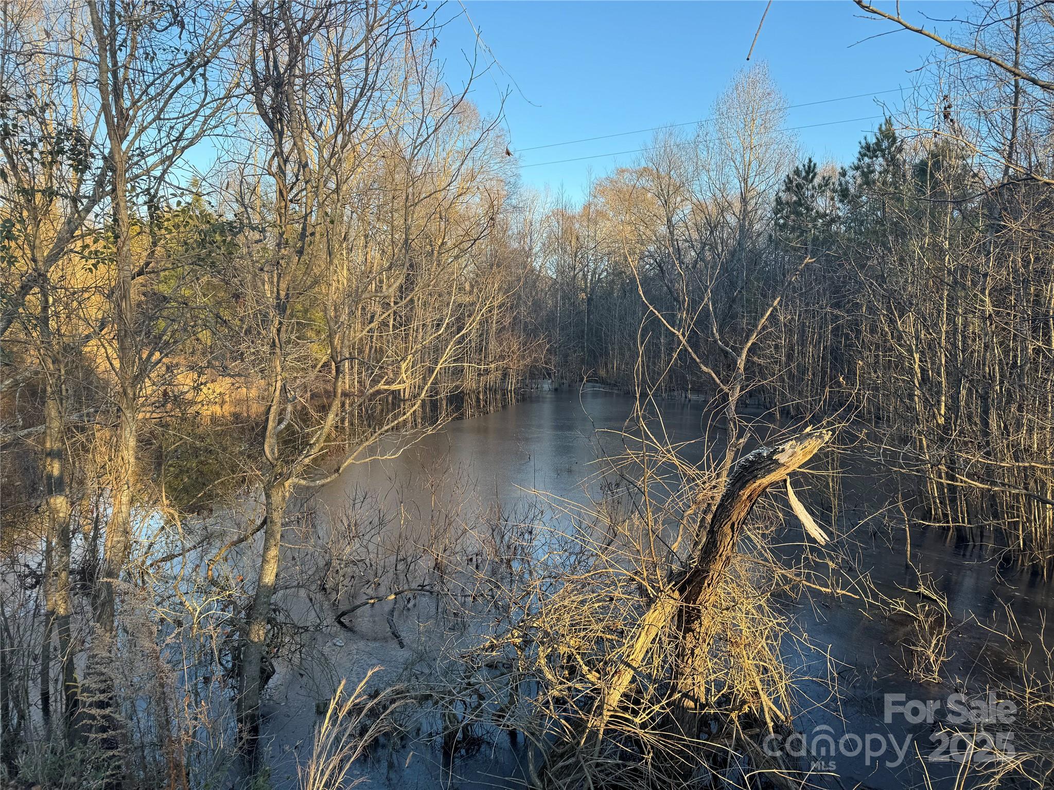 4252 Reid Road Property Photo 2