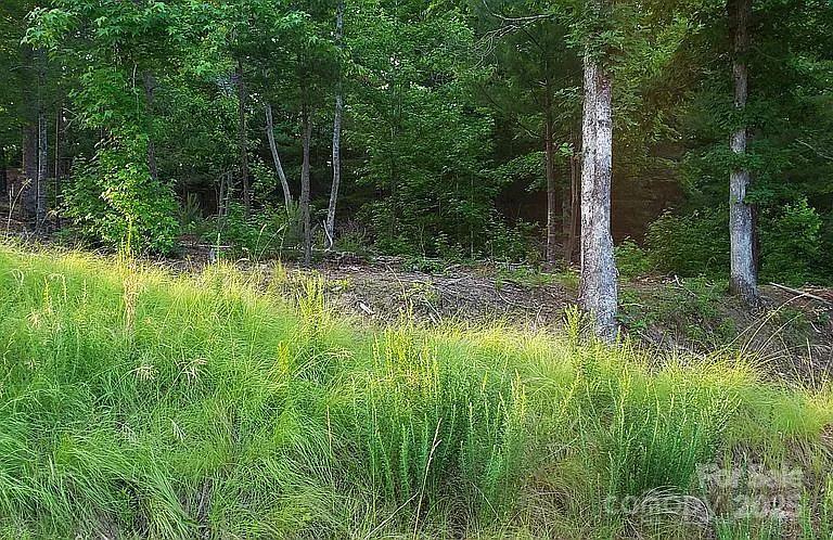 V/l Ridge Point Road 19 Property Photo 17