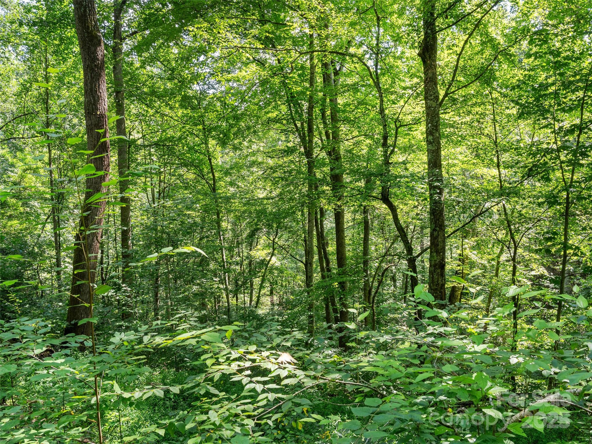 Lot 69 Falling Glen Drive 69 Property Photo 8