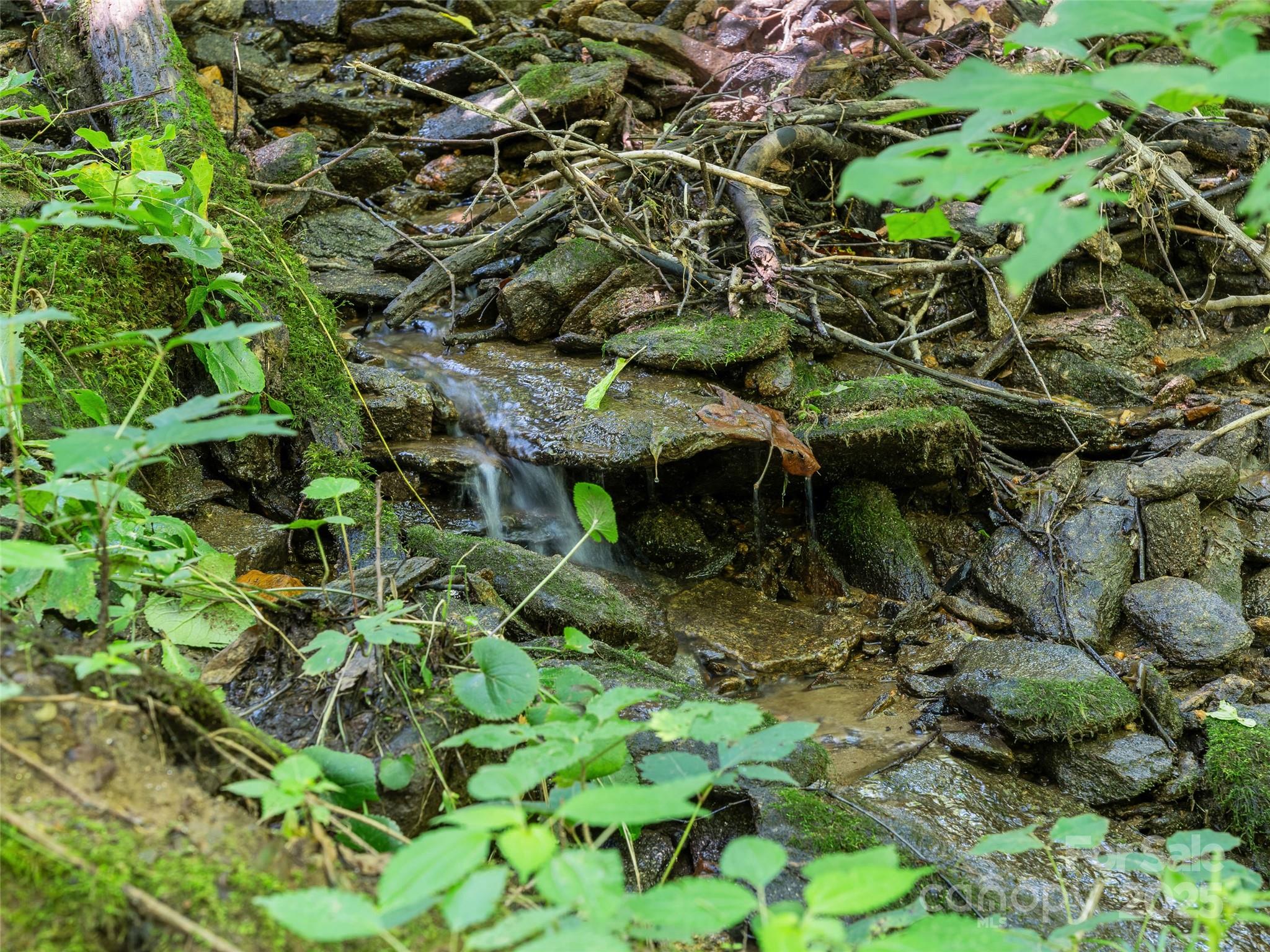 Lot 69 Falling Glen Drive 69 Property Photo 11