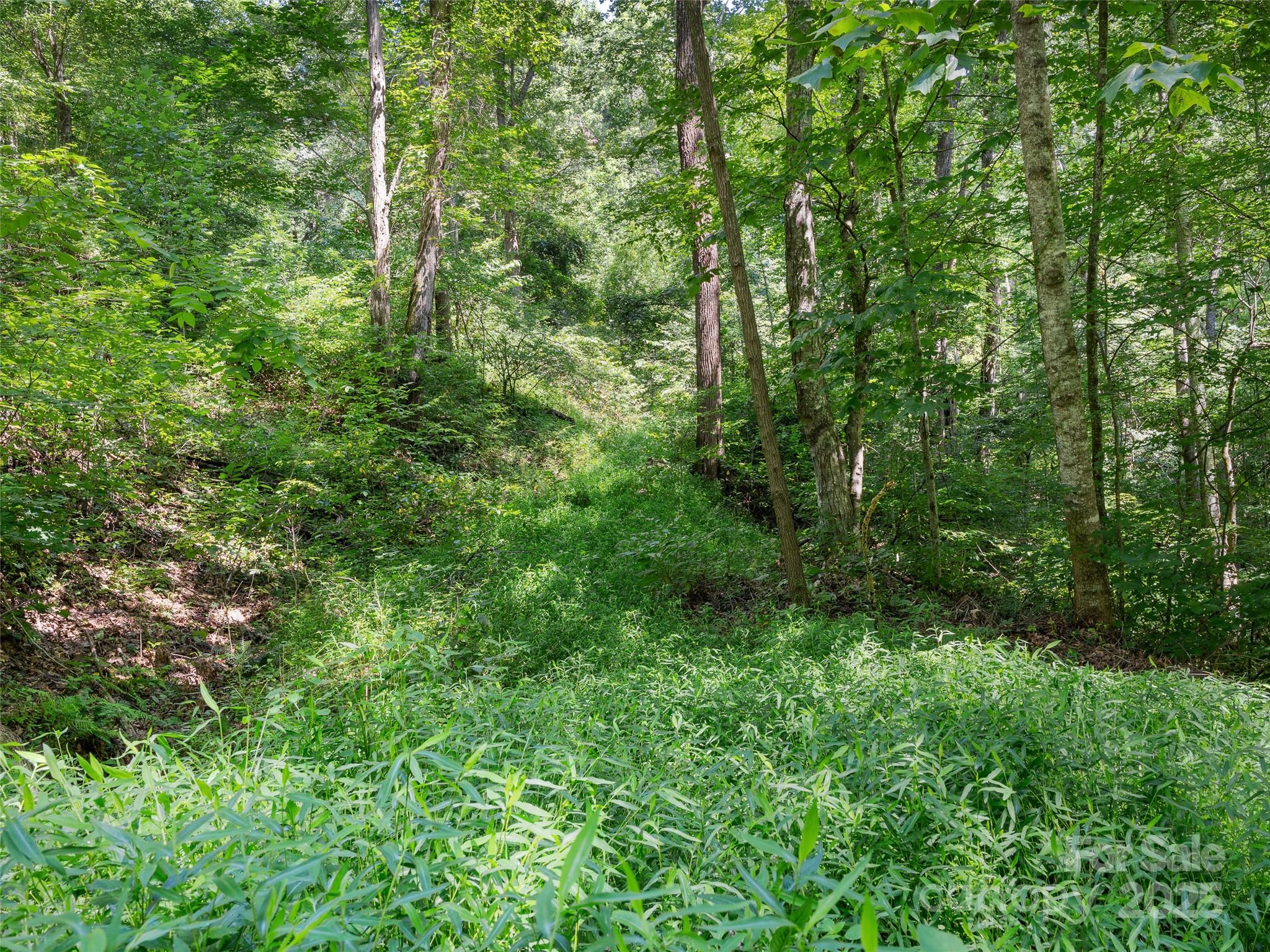 Lot 69 Falling Glen Drive 69 Property Photo 13