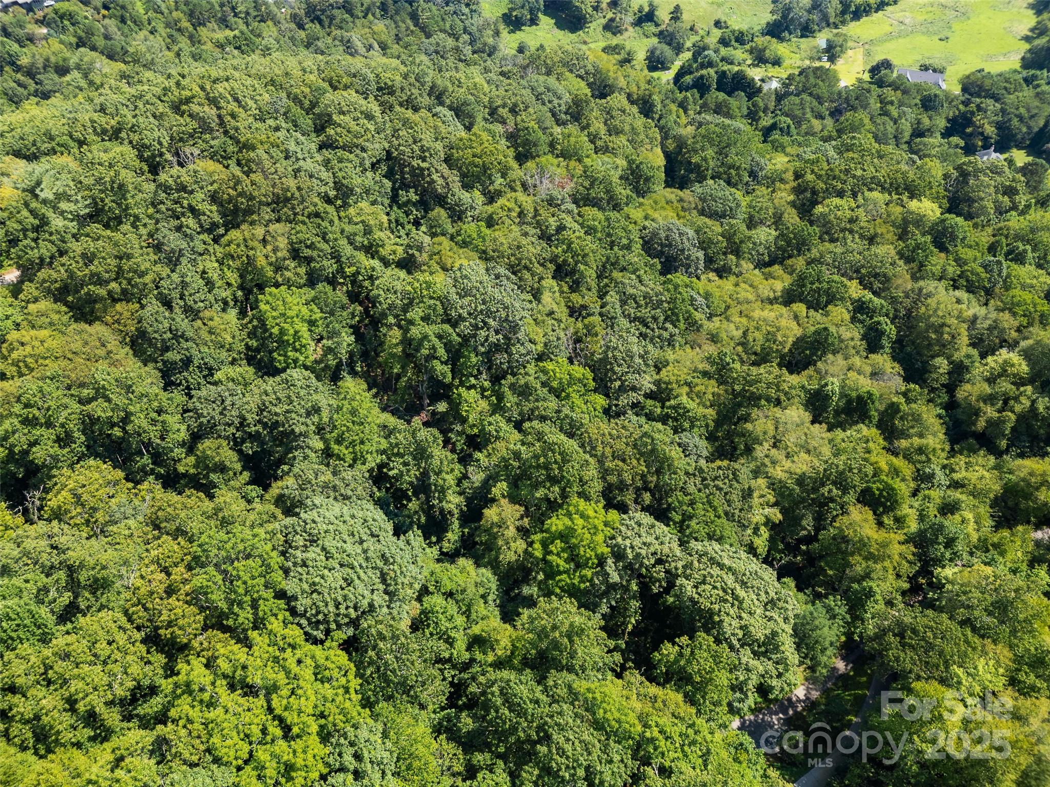 Lot 69 Falling Glen Drive 69 Property Photo 16