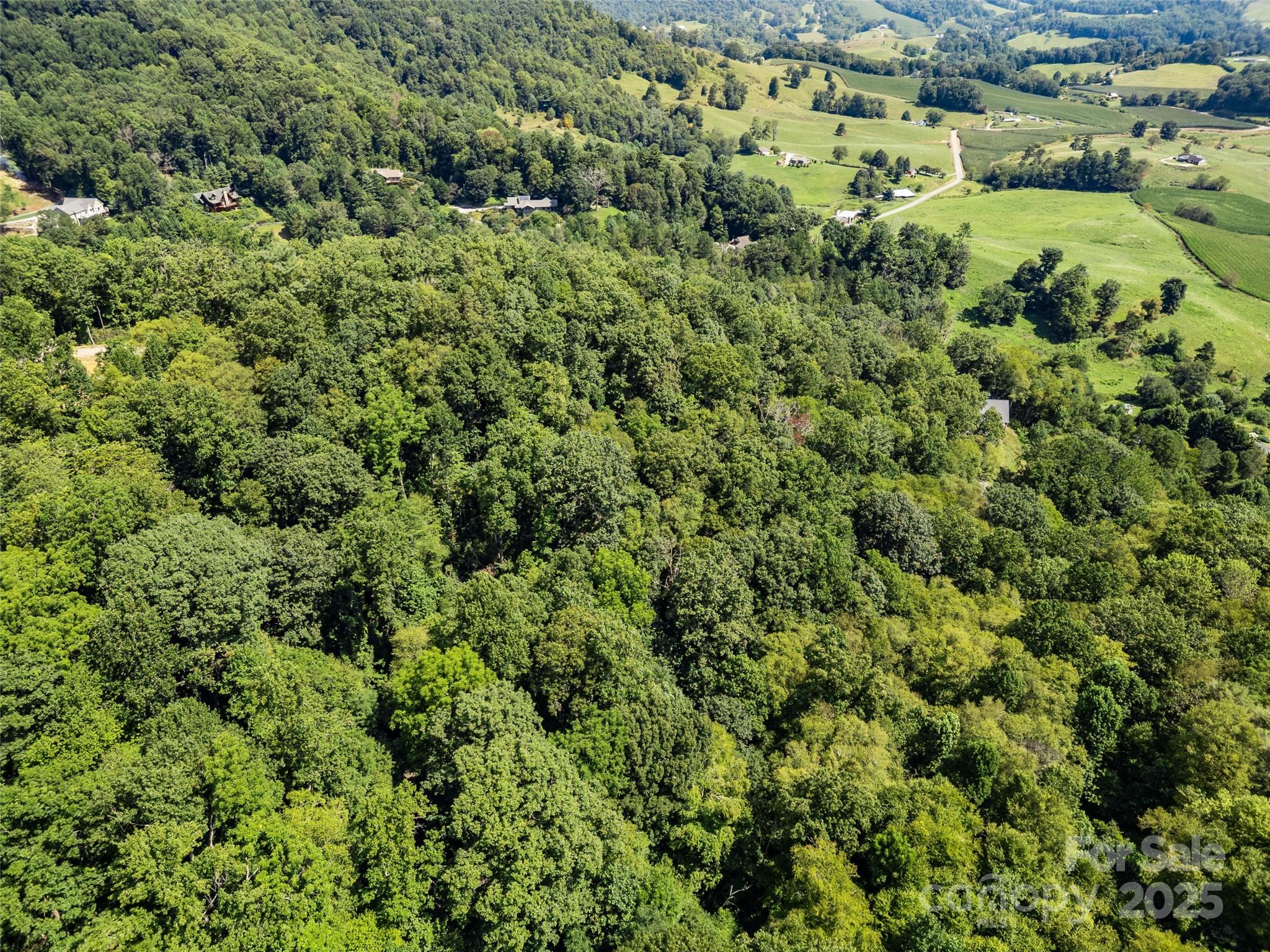 Lot 69 Falling Glen Drive 69 Property Photo 18