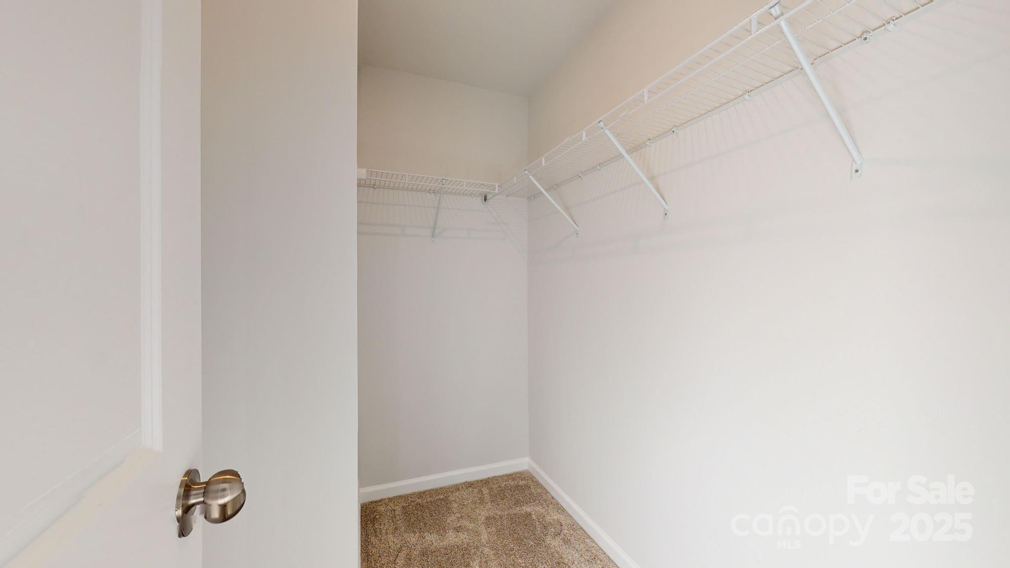 3005 Blueberry Patch Lane Property Photo 31