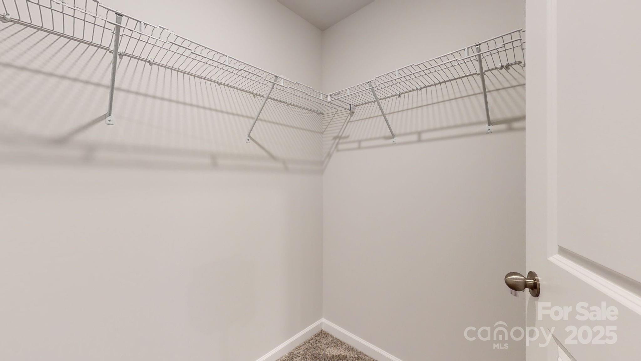 3005 Blueberry Patch Lane Property Photo 41