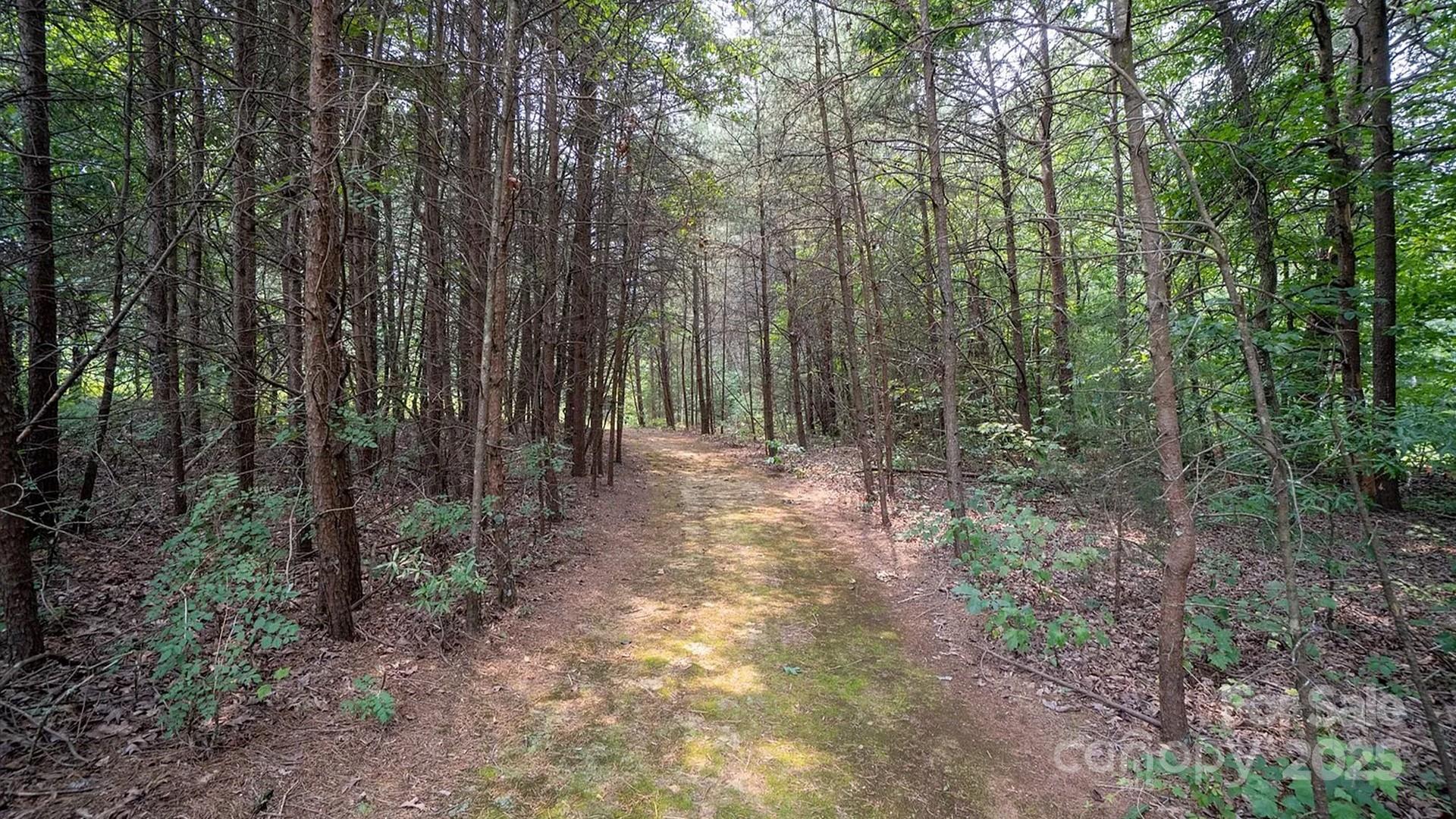 4220 Mount Beulah Road Property Photo 12