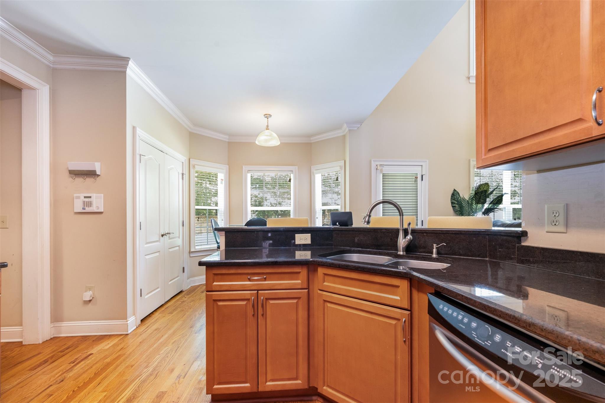 11004 Dipali Court Property Photo 5