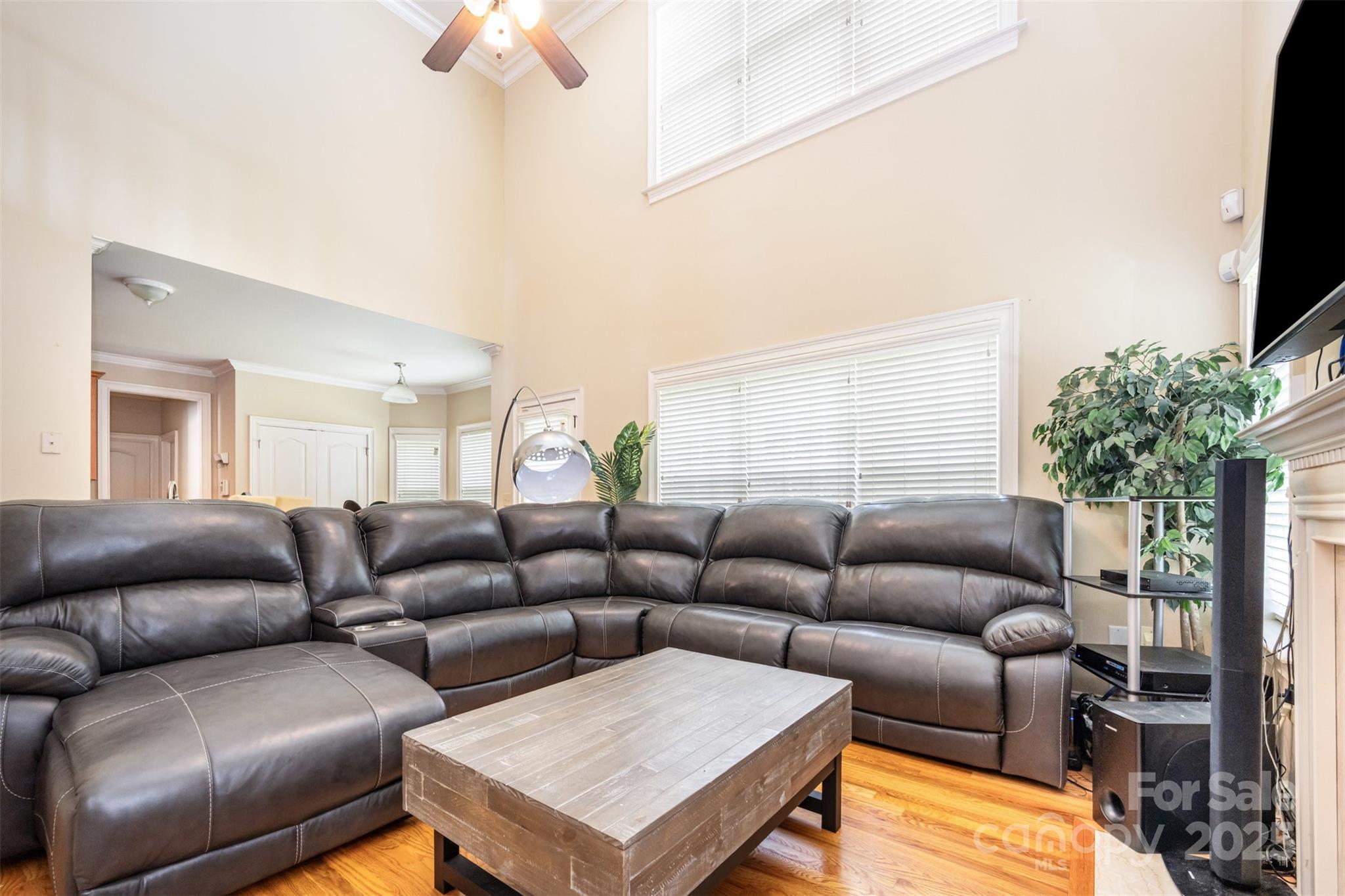 11004 Dipali Court Property Photo 12