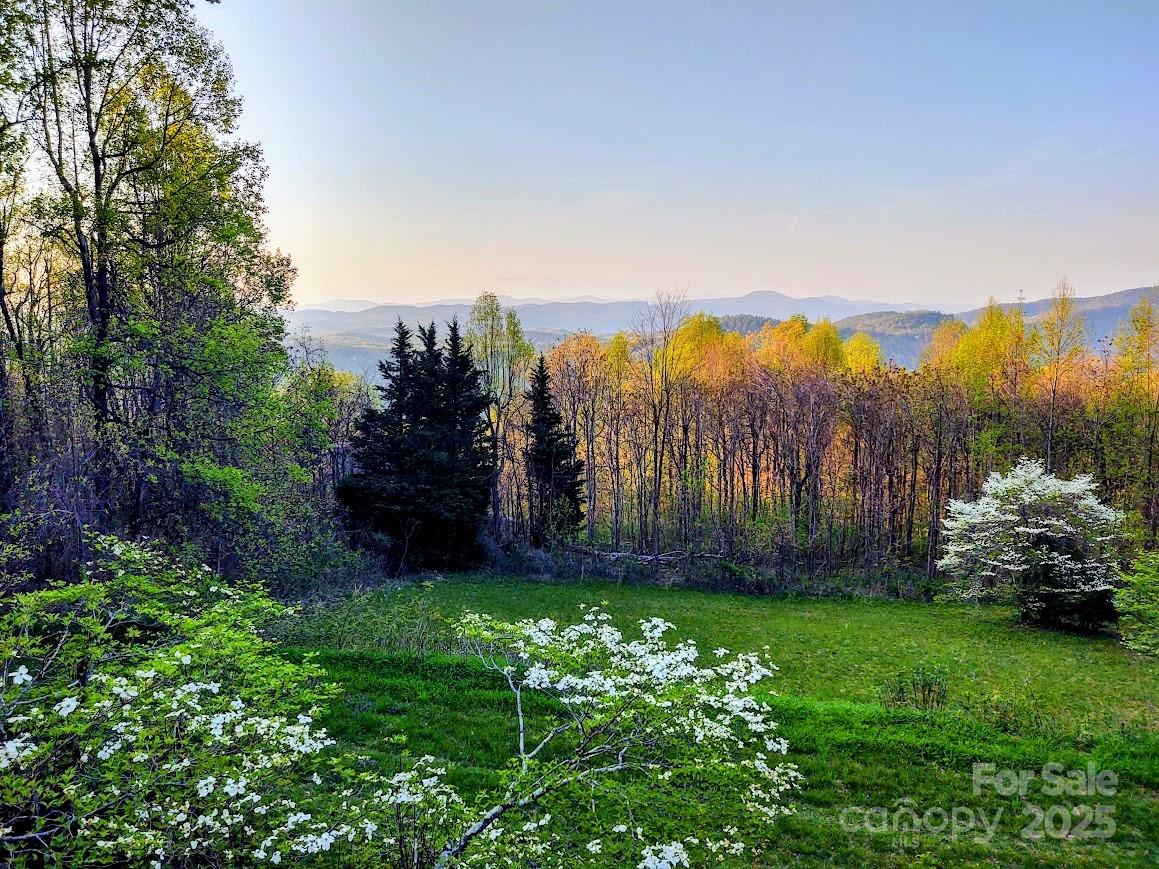 545 Summit Road Property Photo 21