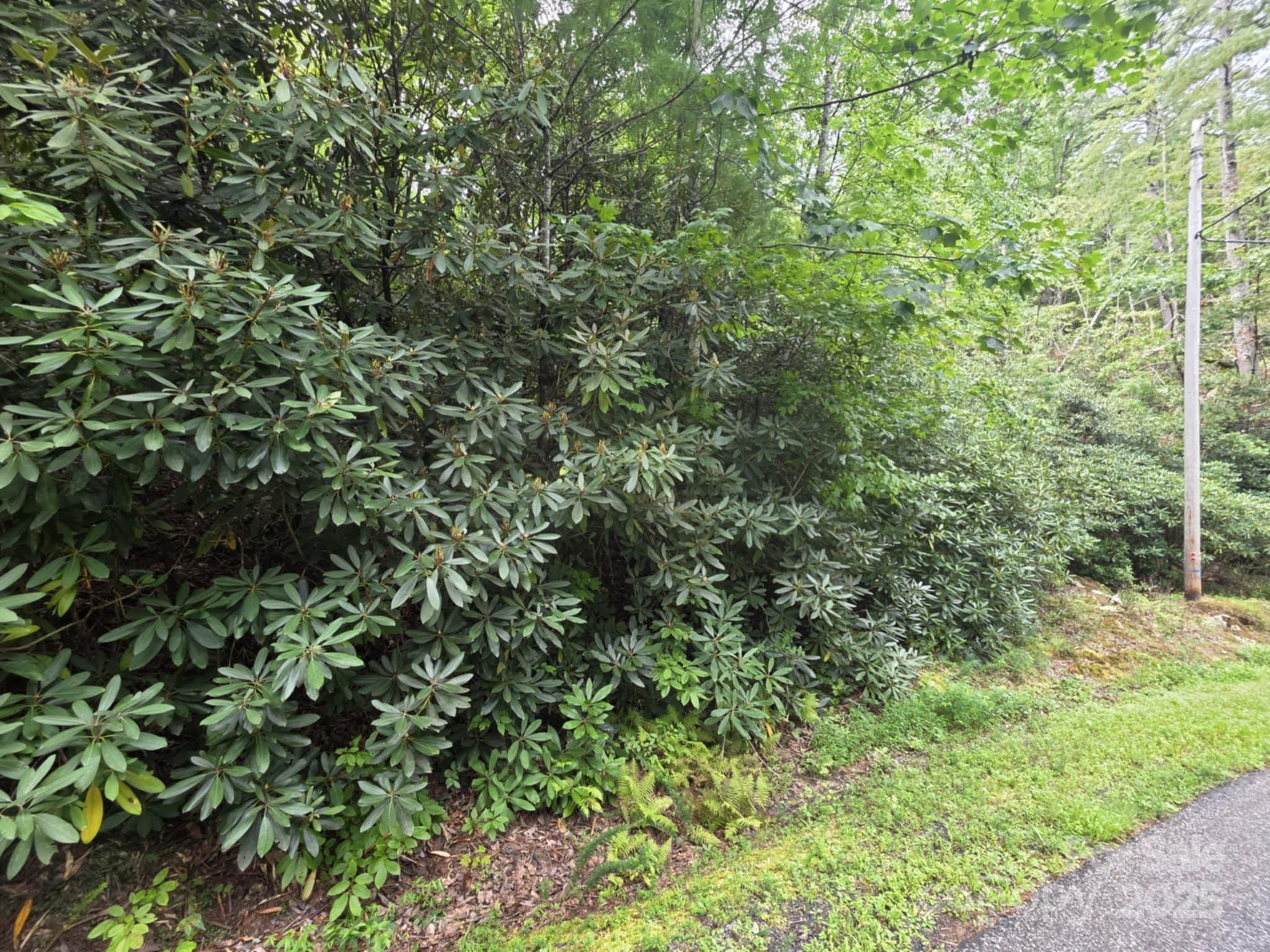 Lot 12 Deer Ridge Trail 12 Property Photo 1