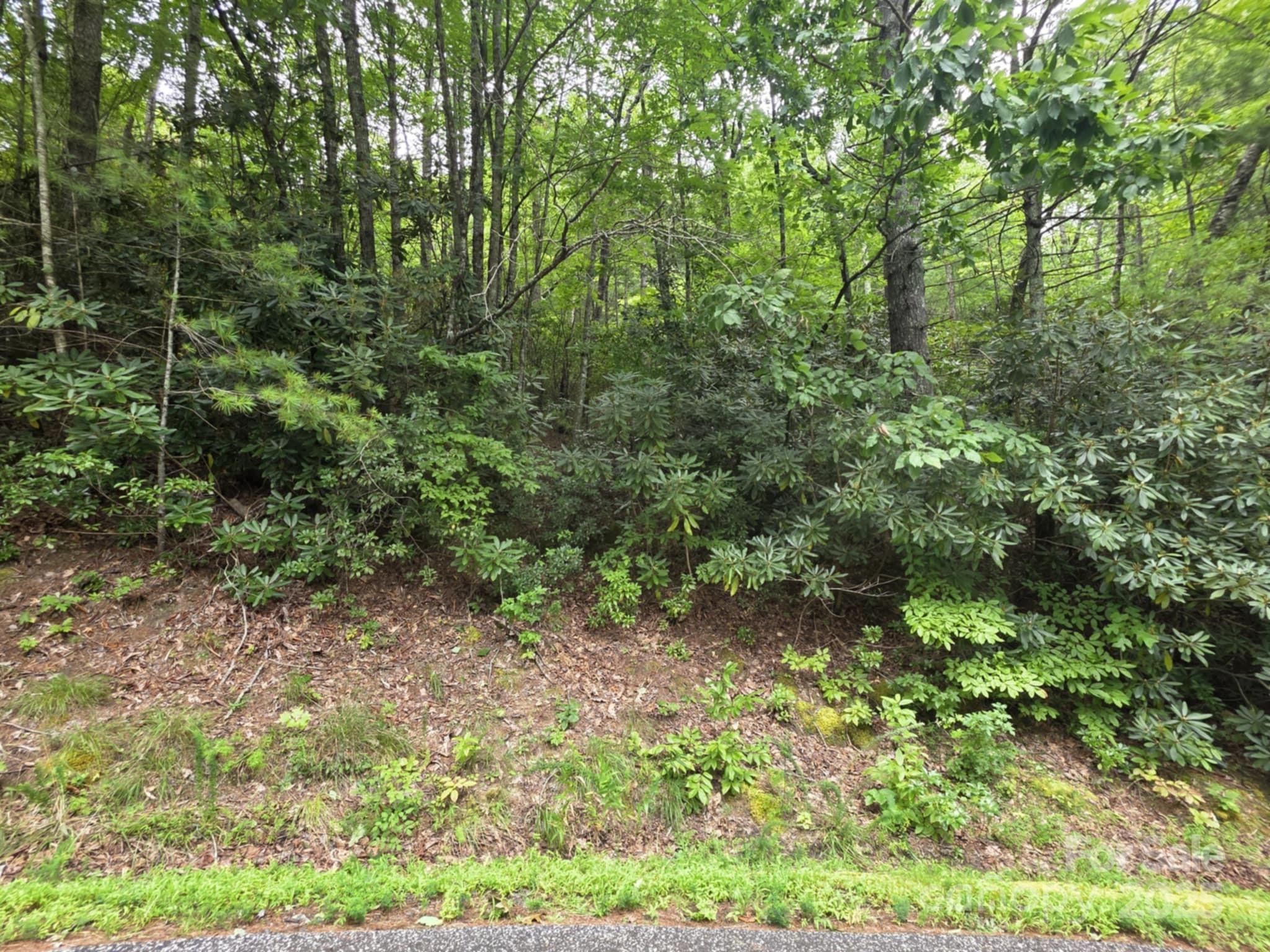 Lot 12 Deer Ridge Trail 12 Property Photo 2