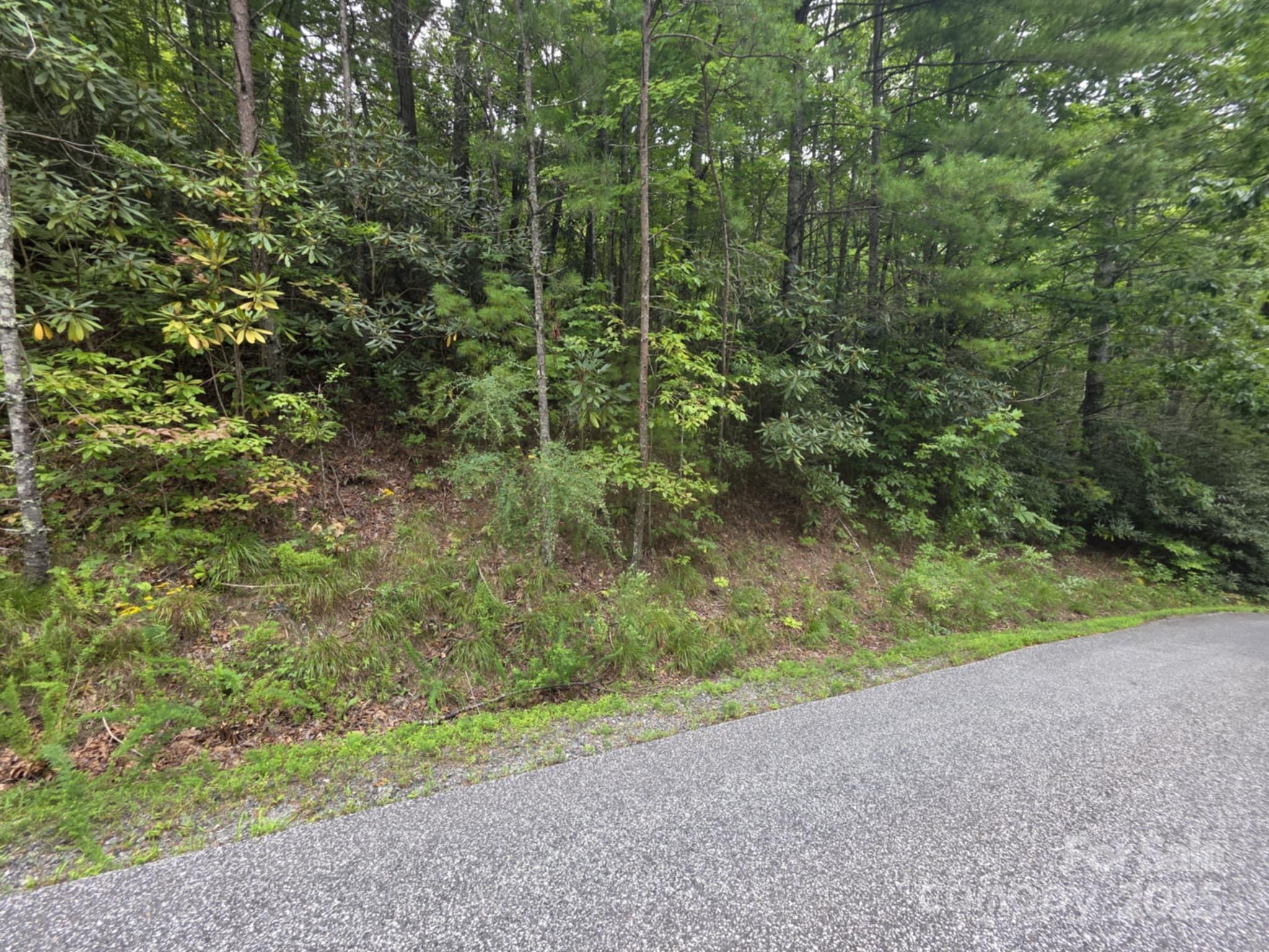 Lot 12 Deer Ridge Trail 12 Property Photo 3