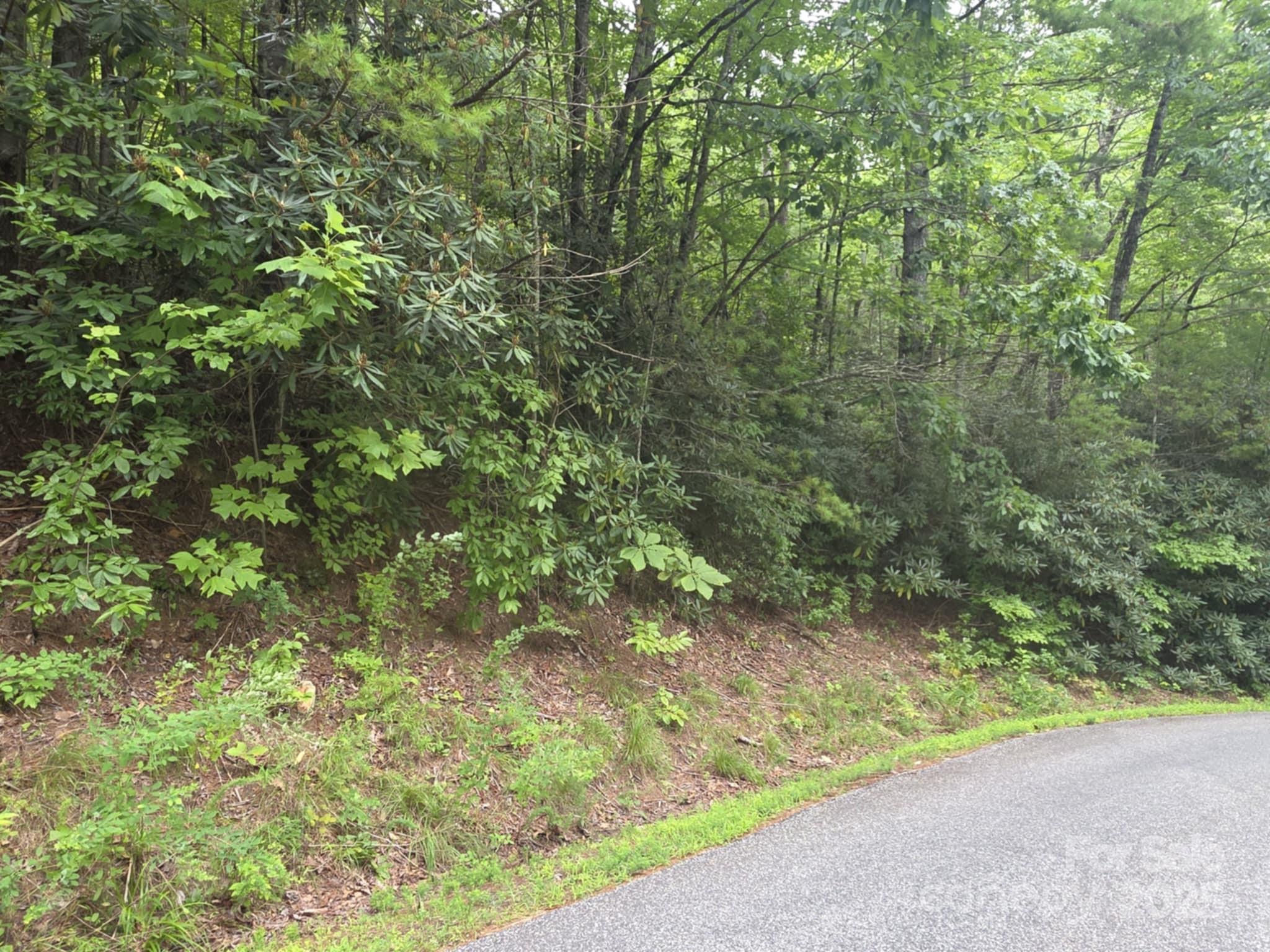 Lot 12 Deer Ridge Trail 12 Property Photo 4