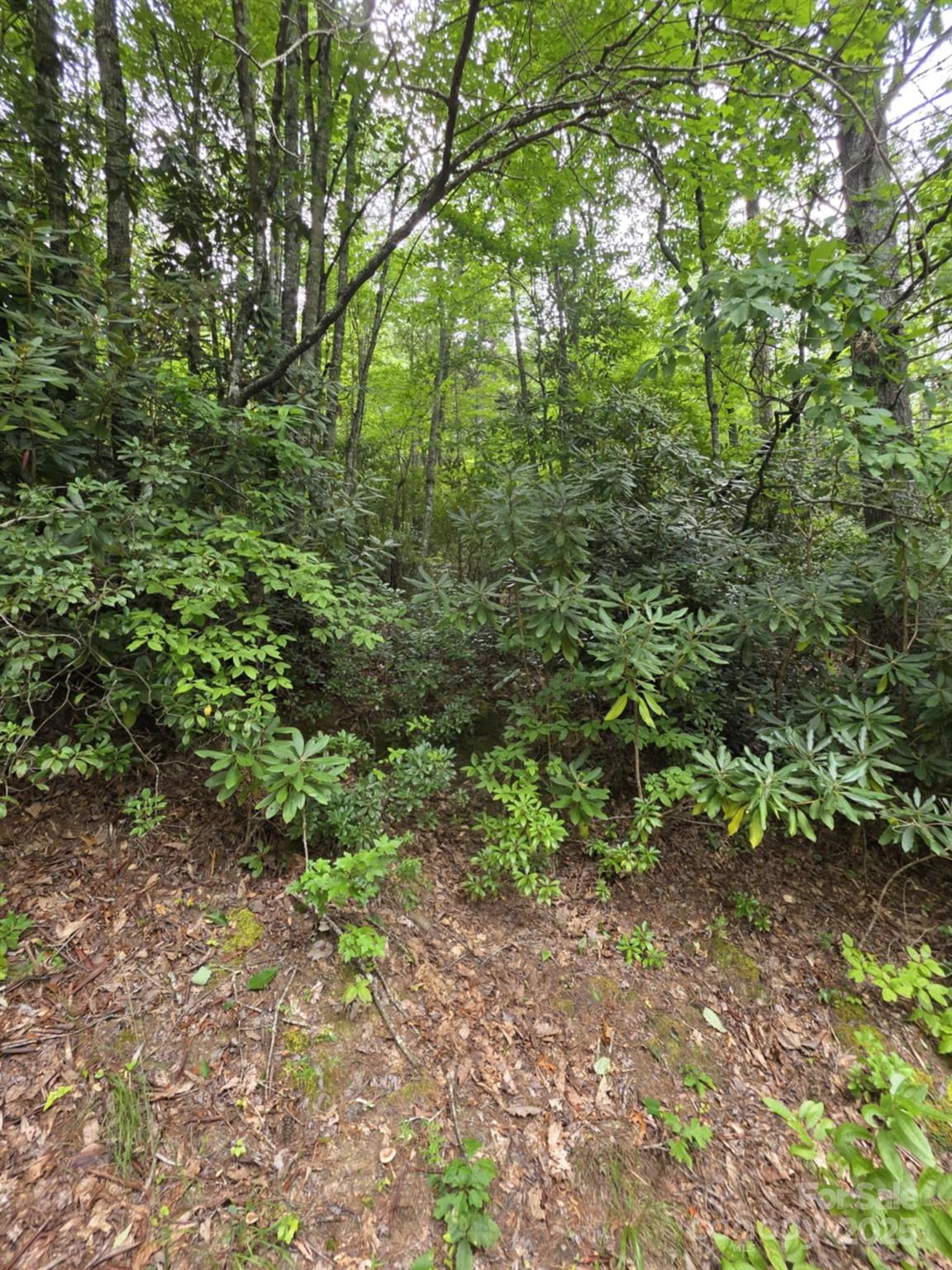 Lot 12 Deer Ridge Trail 12 Property Photo 5