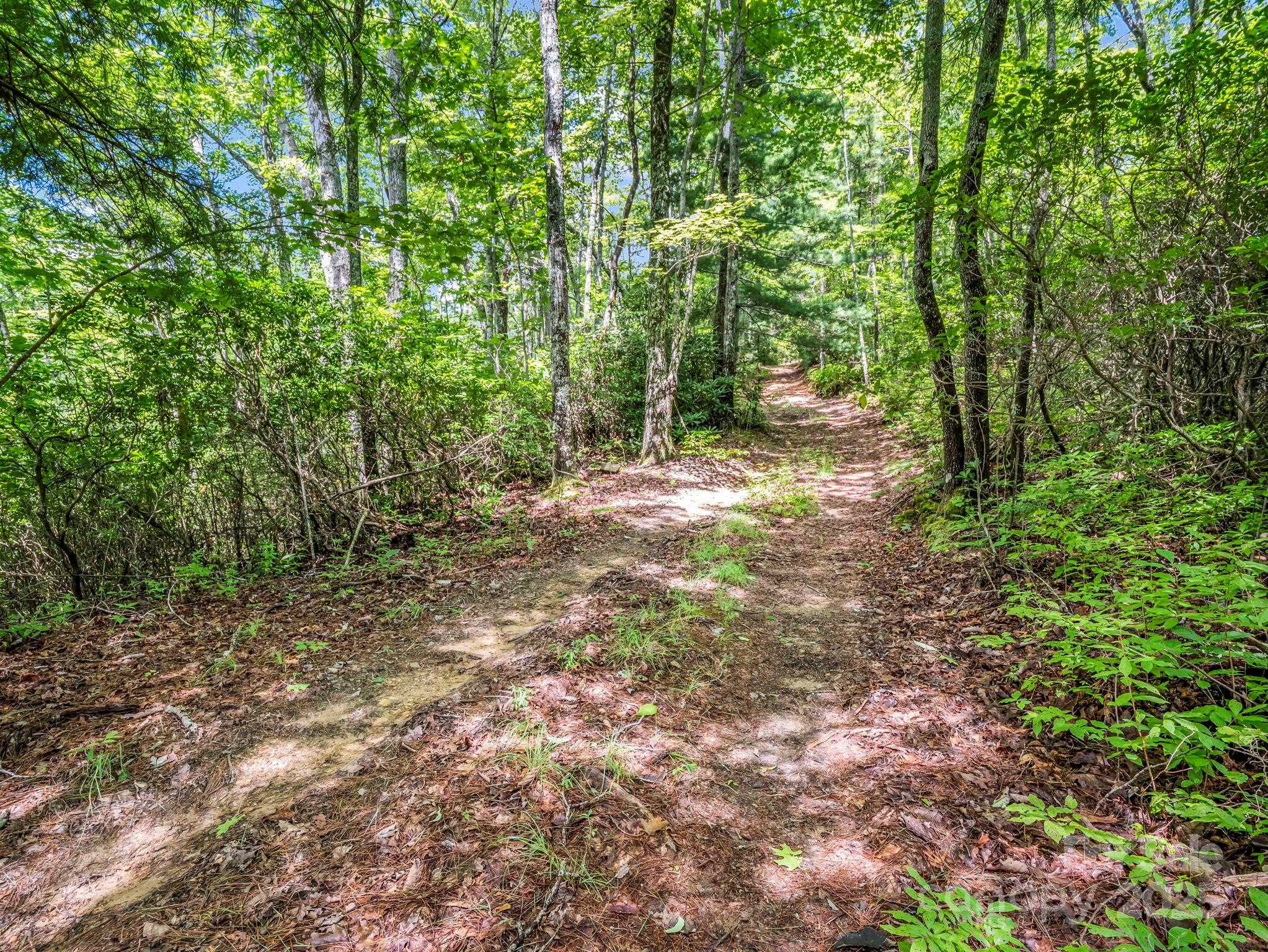 Tbd Frozen Creek Road Property Photo 6